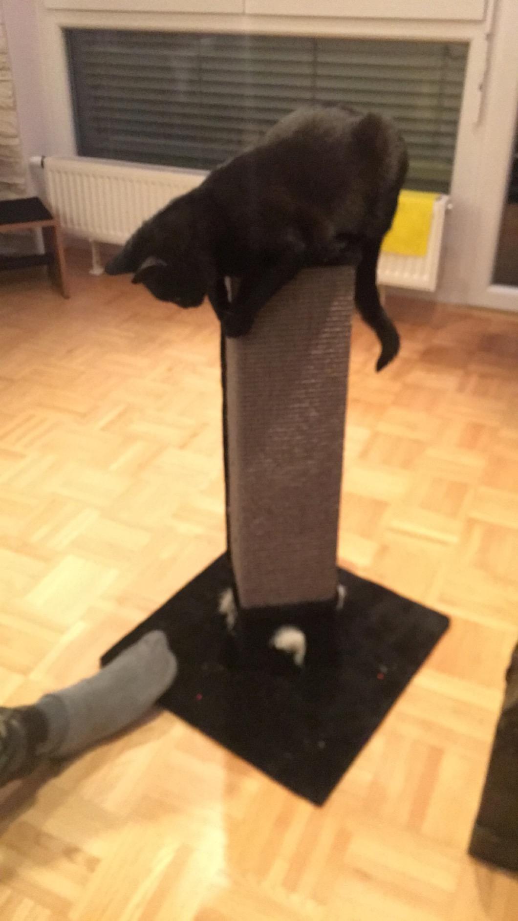 Stabil und hübsch