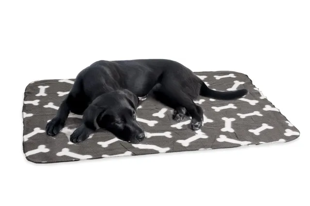 karlie-fleecedecke-f-r-hunde-mit-knochenmotiv-grau-100x70-cm image 1