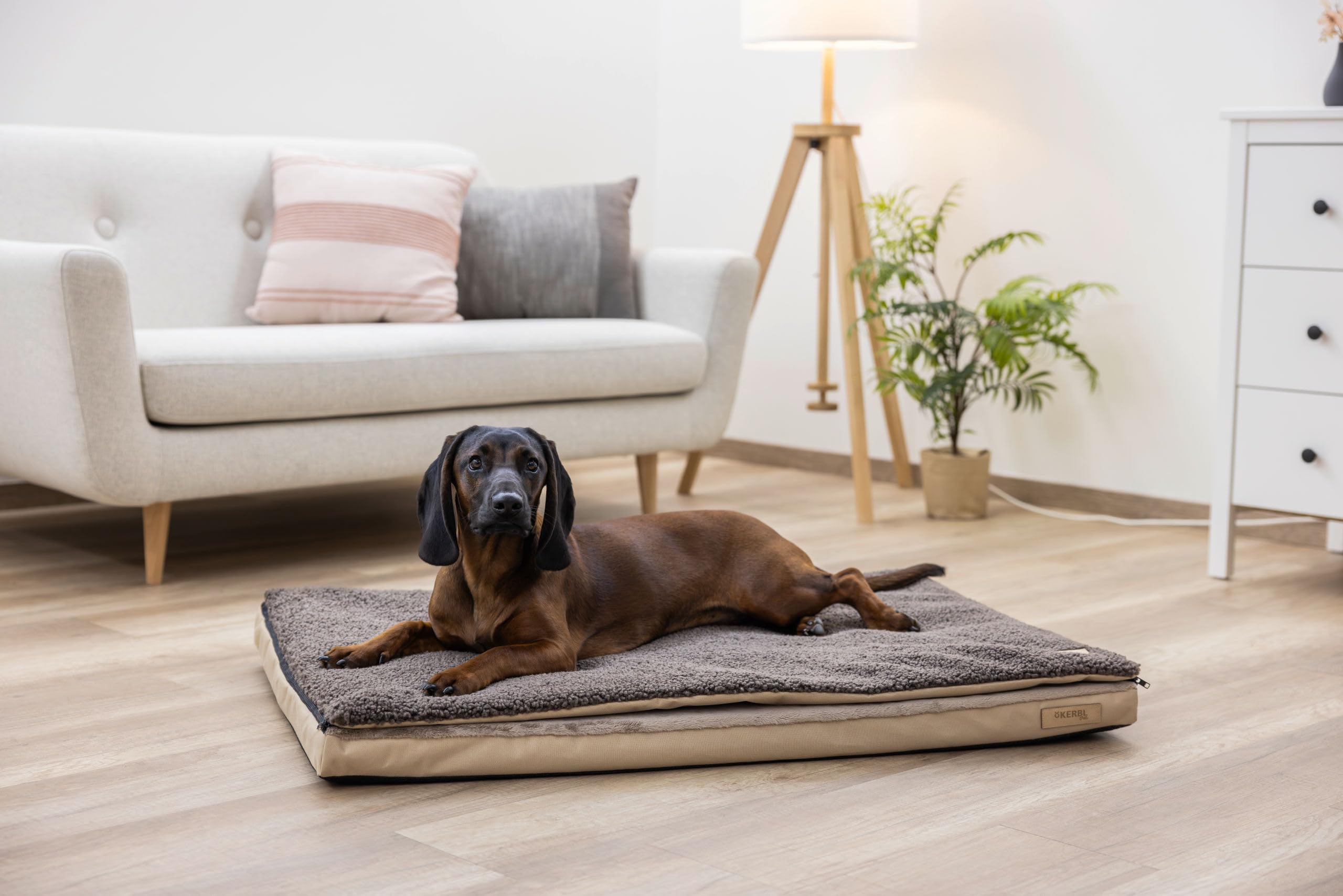 kerbl-pet-multifunktionsmatratze-120-x-72-x-7-cm-beige-braun-hundematratze-memor image 7