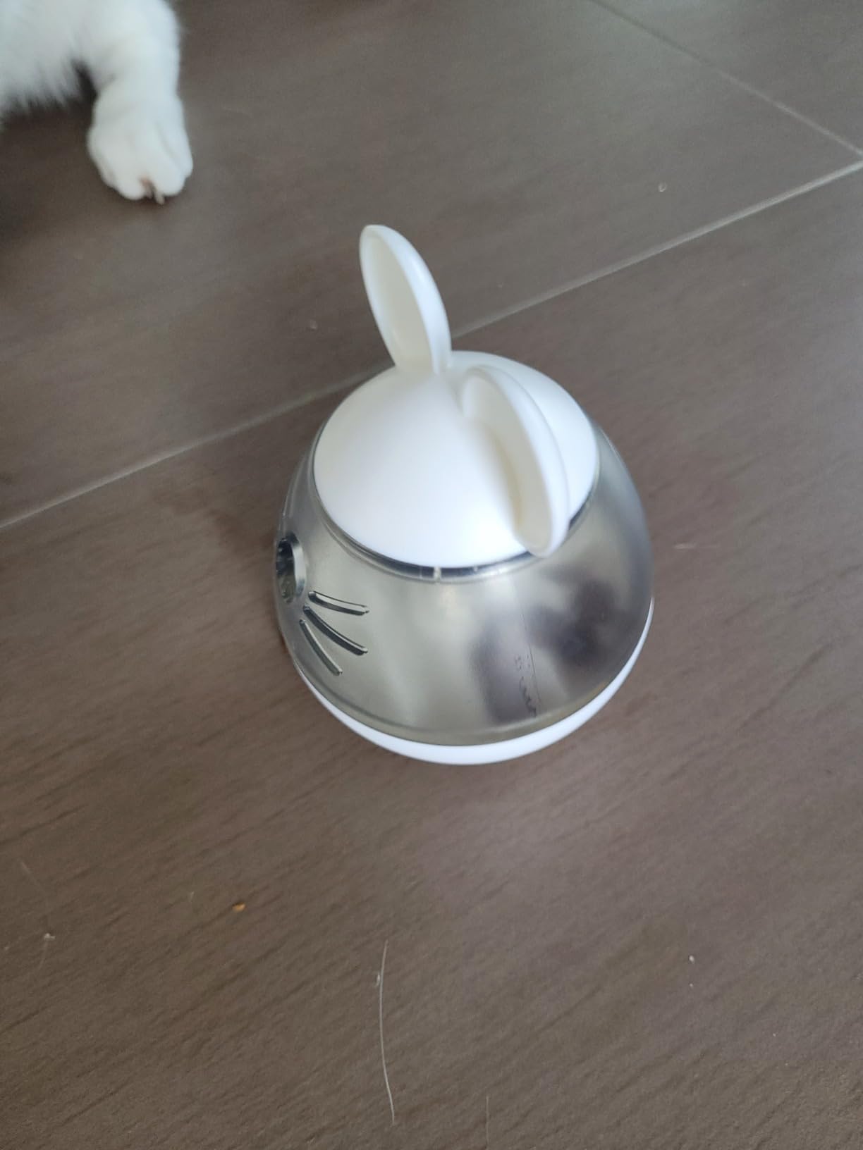 Beste 5 Euro seit langem