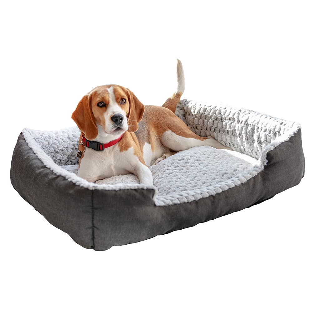 ferplast-hunde-und-katzenbett-mit-rand-grau-wei-48-x-37-x-16-cm image 3