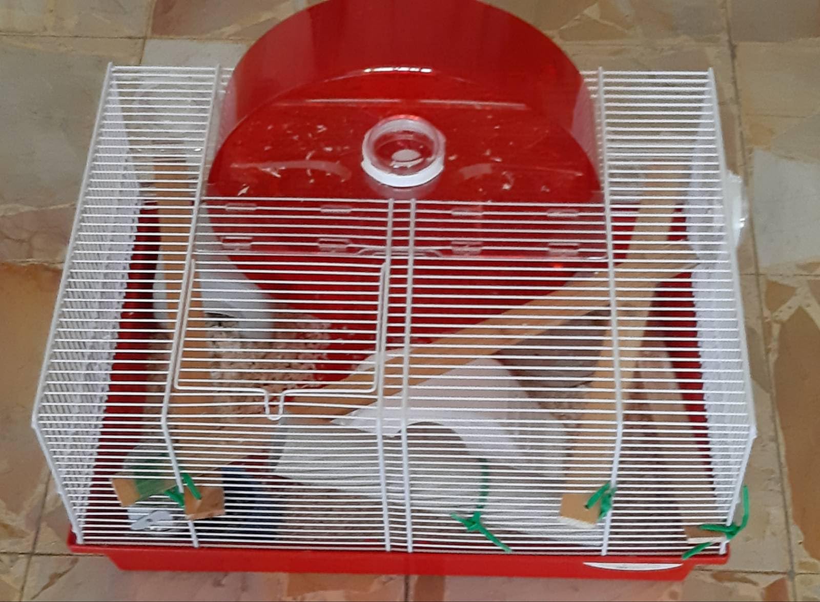 Mega süß!
