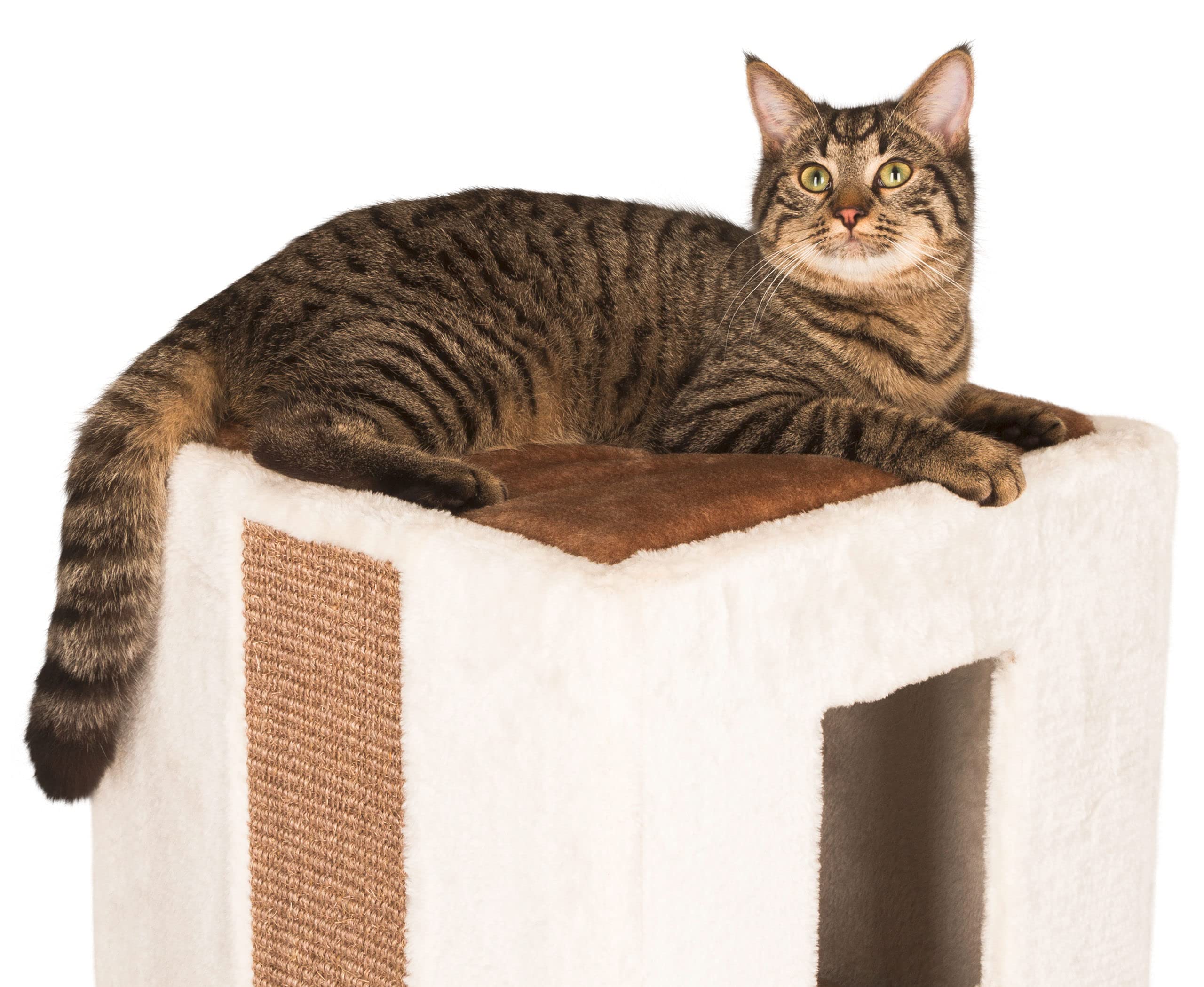 kerbl-pet-kratztonne-galina-40-x-40-x-78-cm-wei image 3