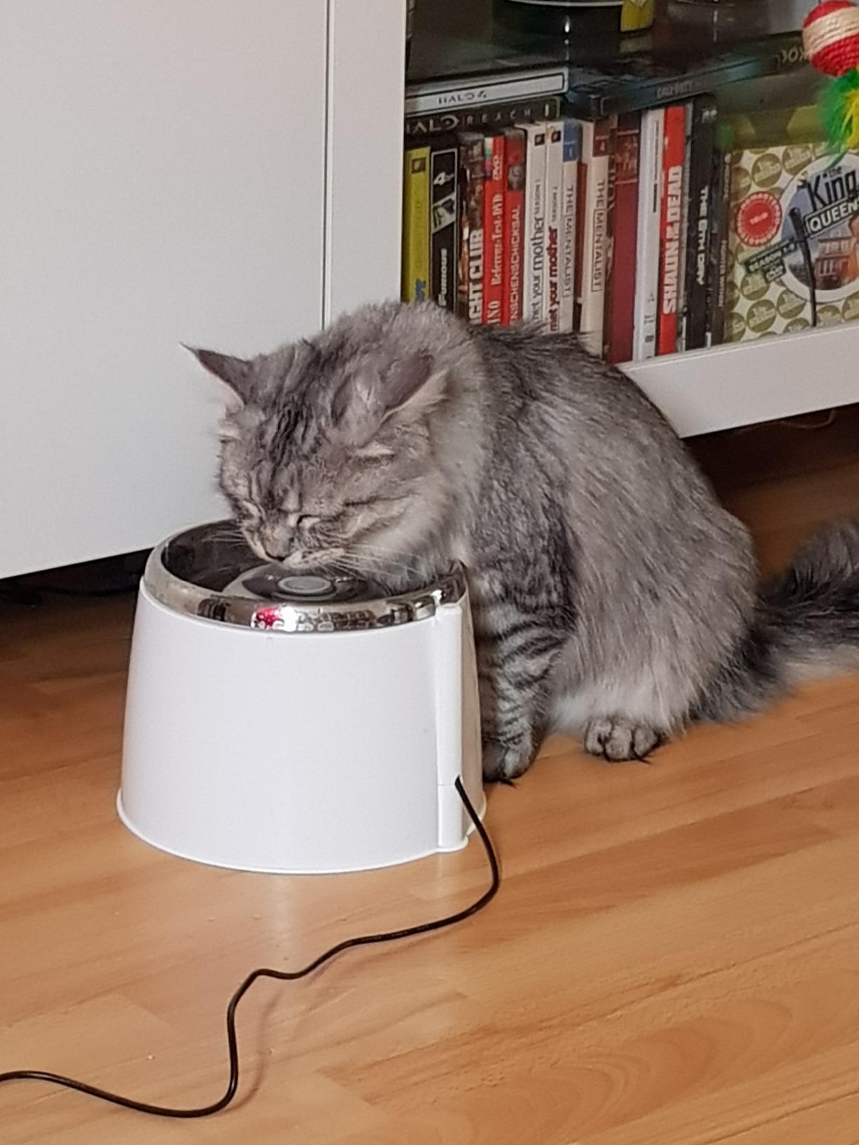 Praktisch auch für kleinen Hund