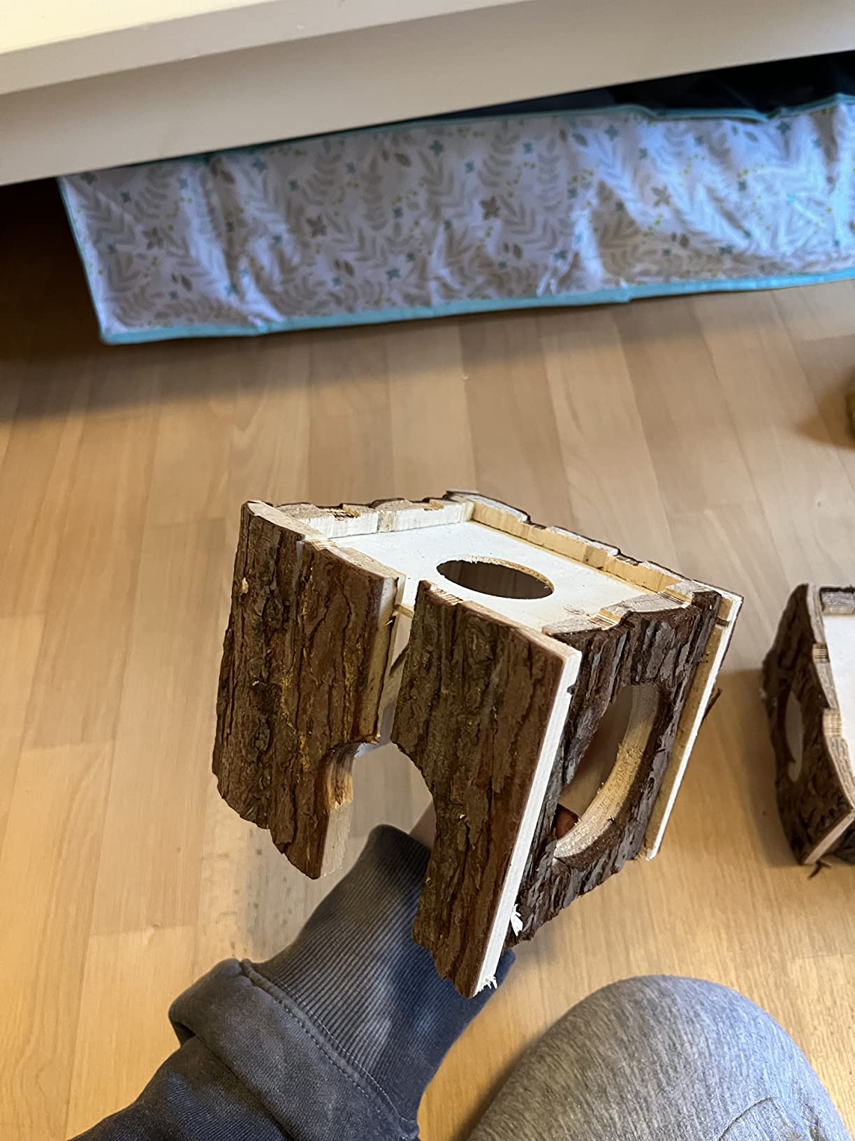 Wird geliebt und beknabbert