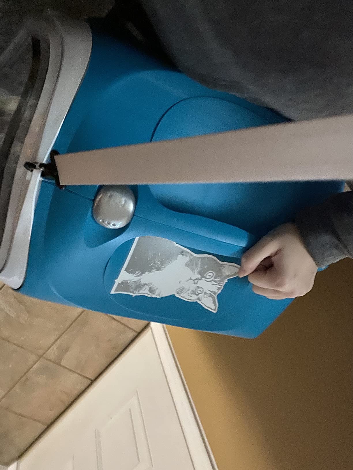 Ideal für ängstliche Katzen