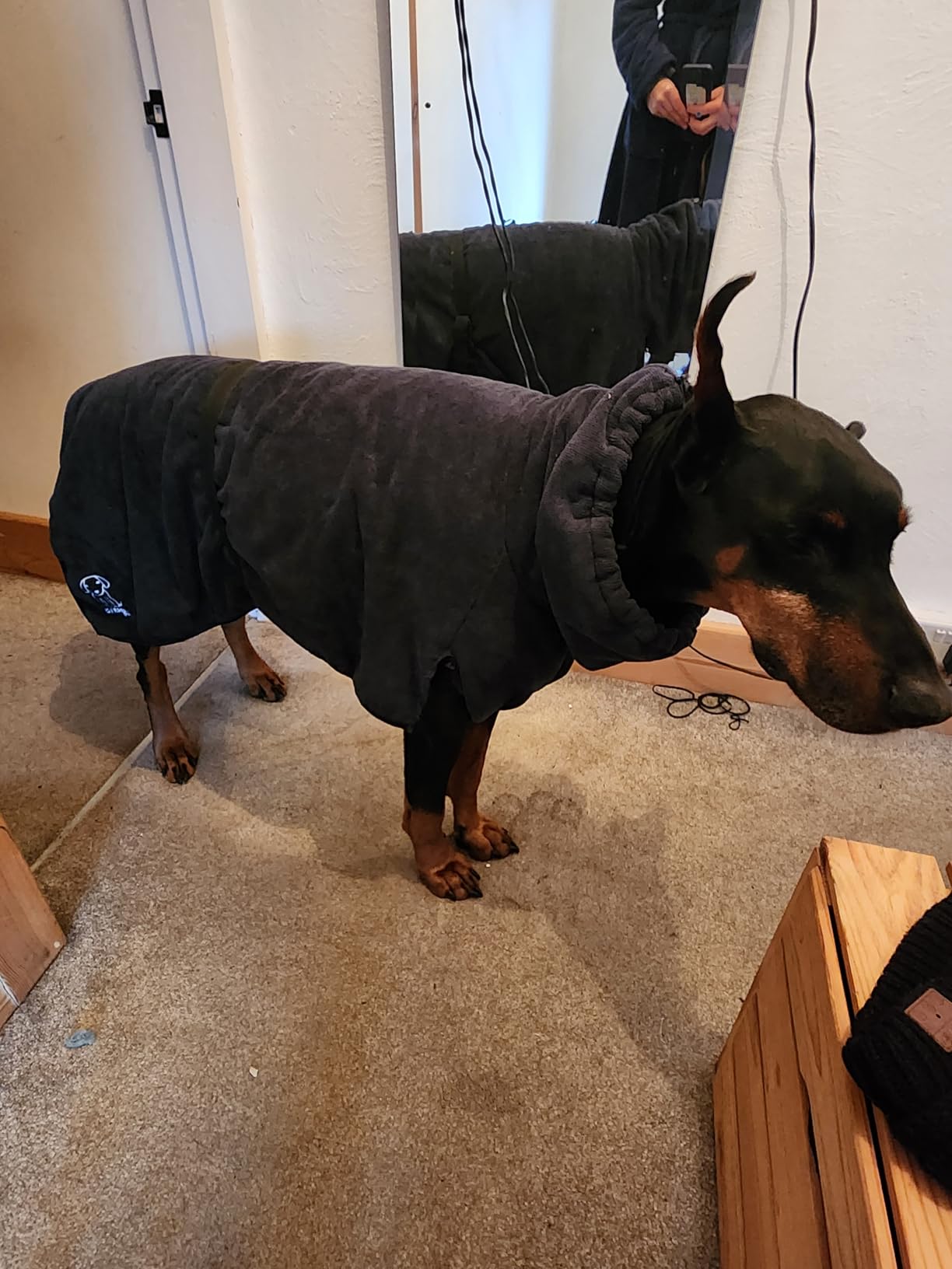Saugstark