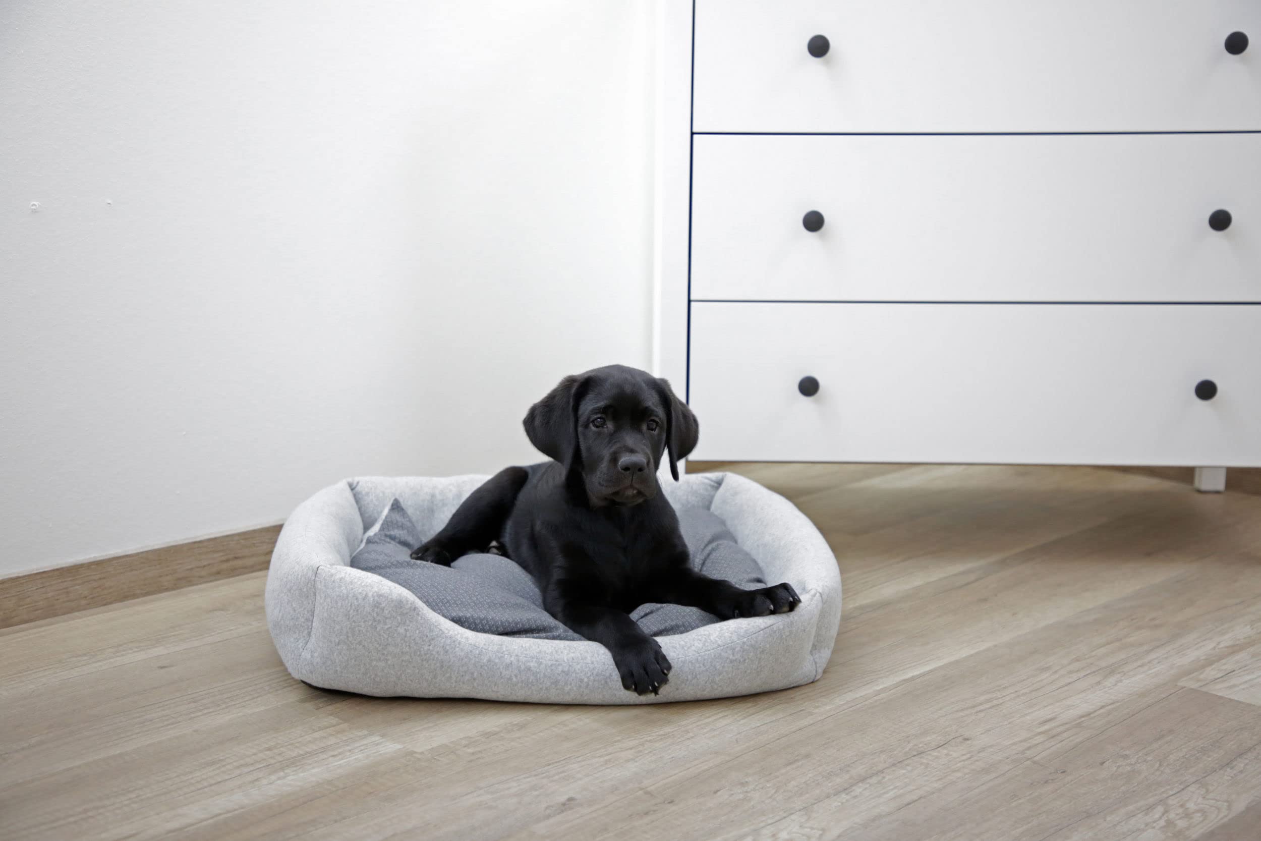 kerbl-pet-kuschelbett-graphene-hundebett-61x50x13-cm-grau image 6