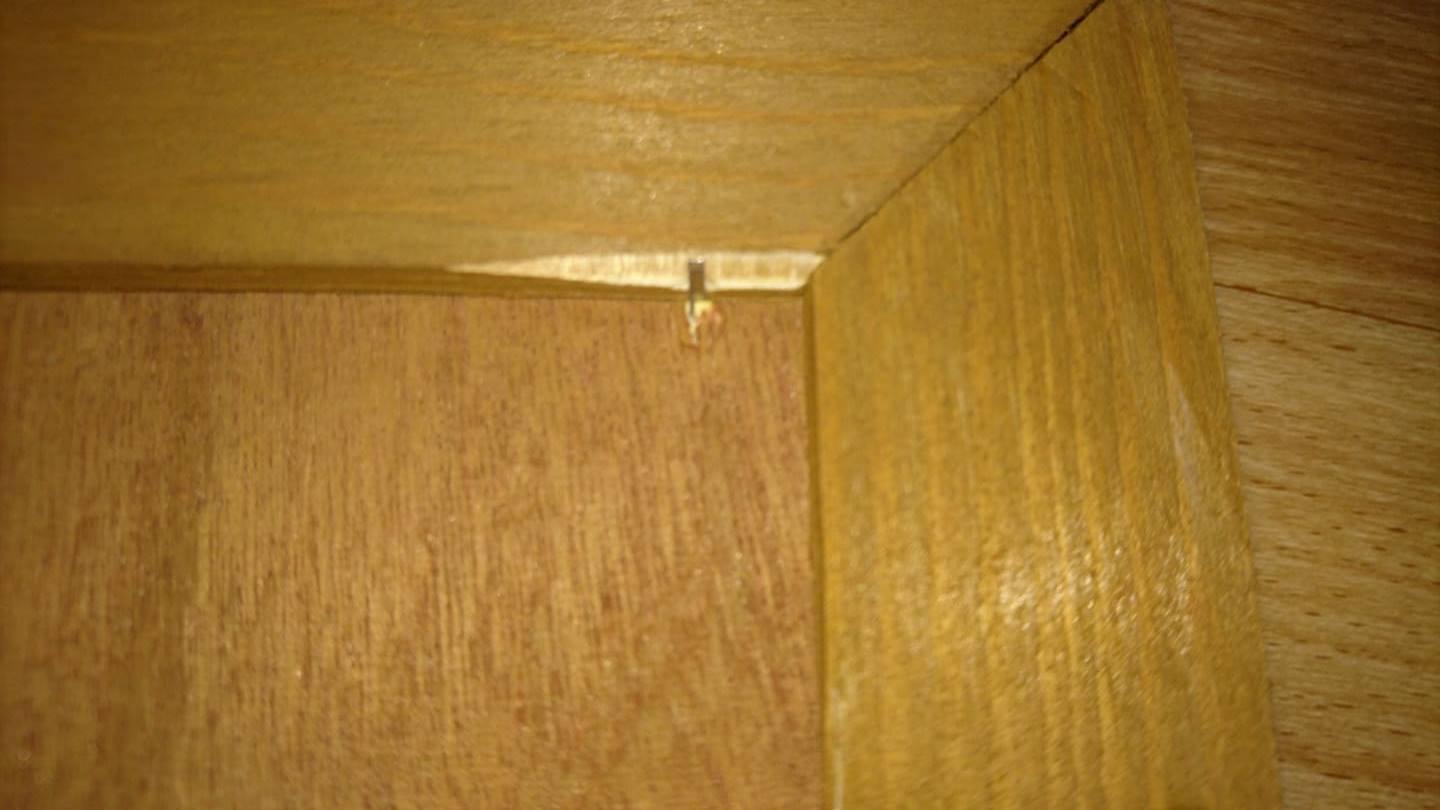 Enkelkinder und Kaninchen begeistert