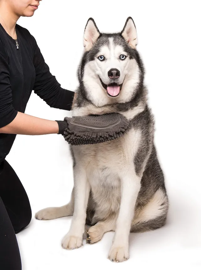 dgs-dirty-dog-grooming-mitt-pflegehandschuh-l-25x18x2-cm-grau image 1