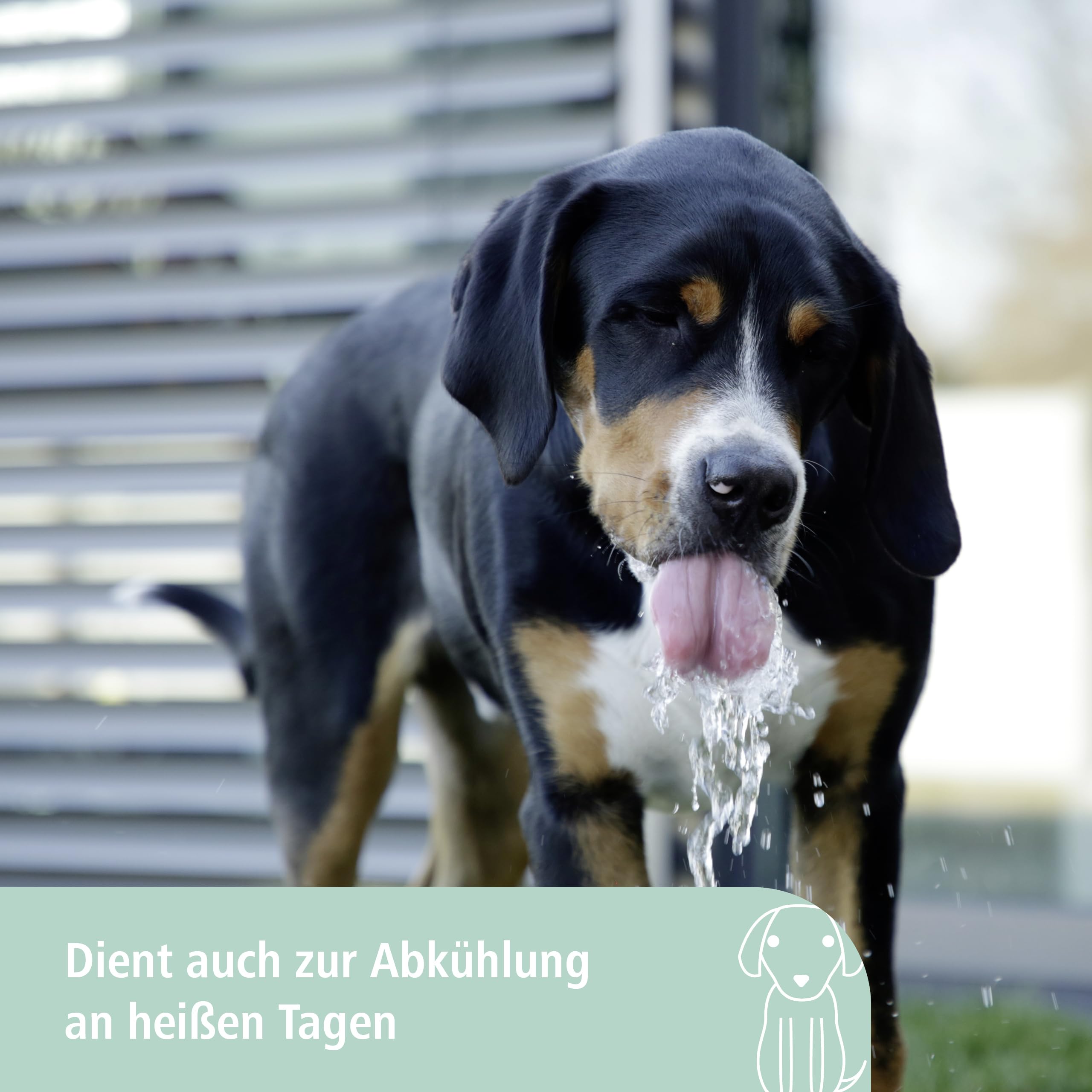 kerbl-pet-wasserspringbrunnen-bubble-25-5x18x8-cm-trinkbrunnen-f-r-hunde image 6