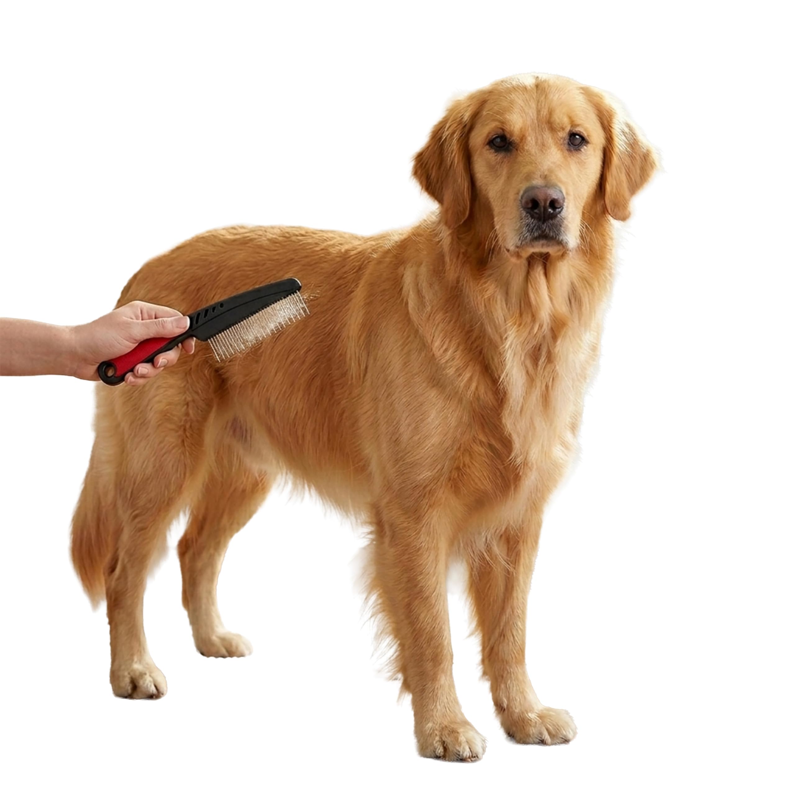 ferplast-2-in-1-kamm-f-r-hunde-und-katzen-mittel-und-langhaar image 7