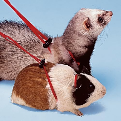 ferplast-ny-rod-geschirr-mit-leine-f-r-frettchen-meerschweinchen-und-nager image 4