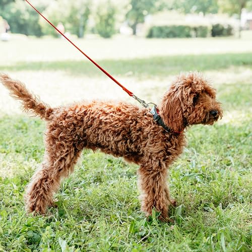 ferplast-ergocomfort-c15-42-hundehalsband-nylon-blau-34-42-cm image 8