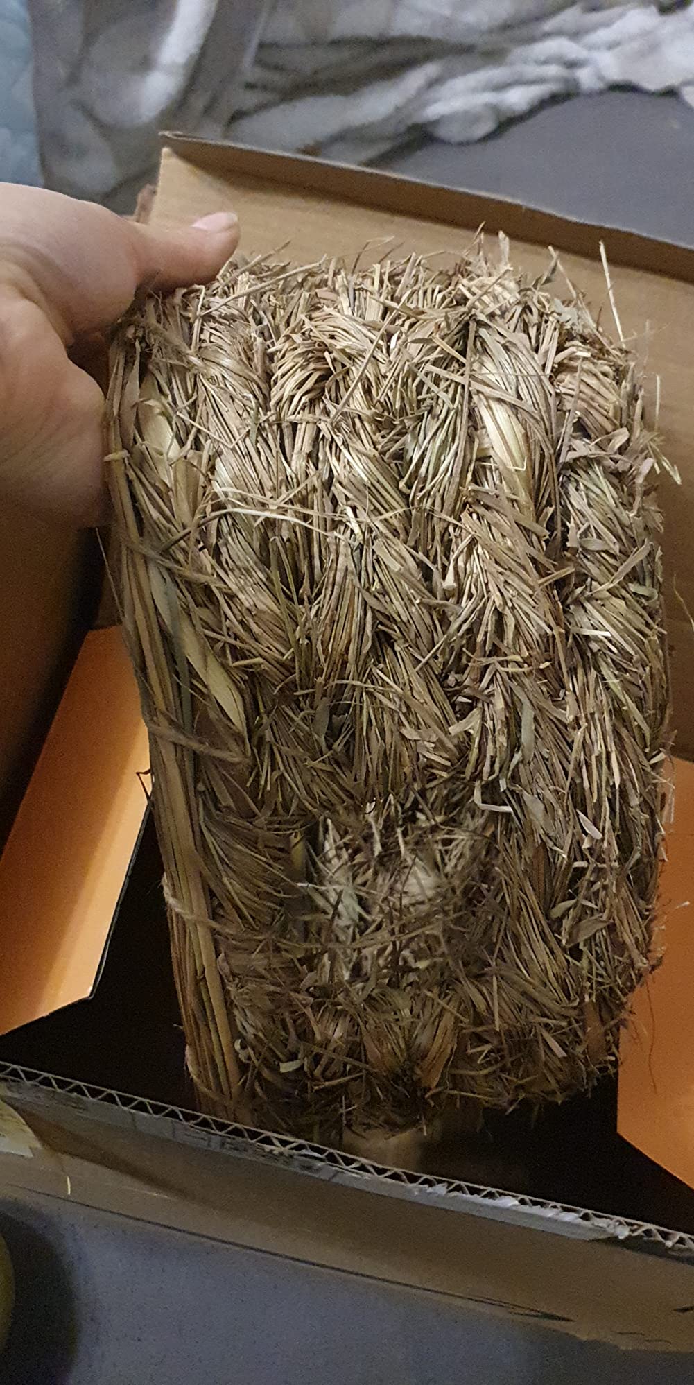 Schönes Naturversteck