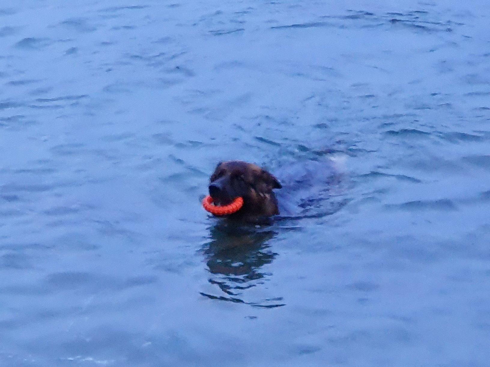 Unkaputtbar und schwimmt