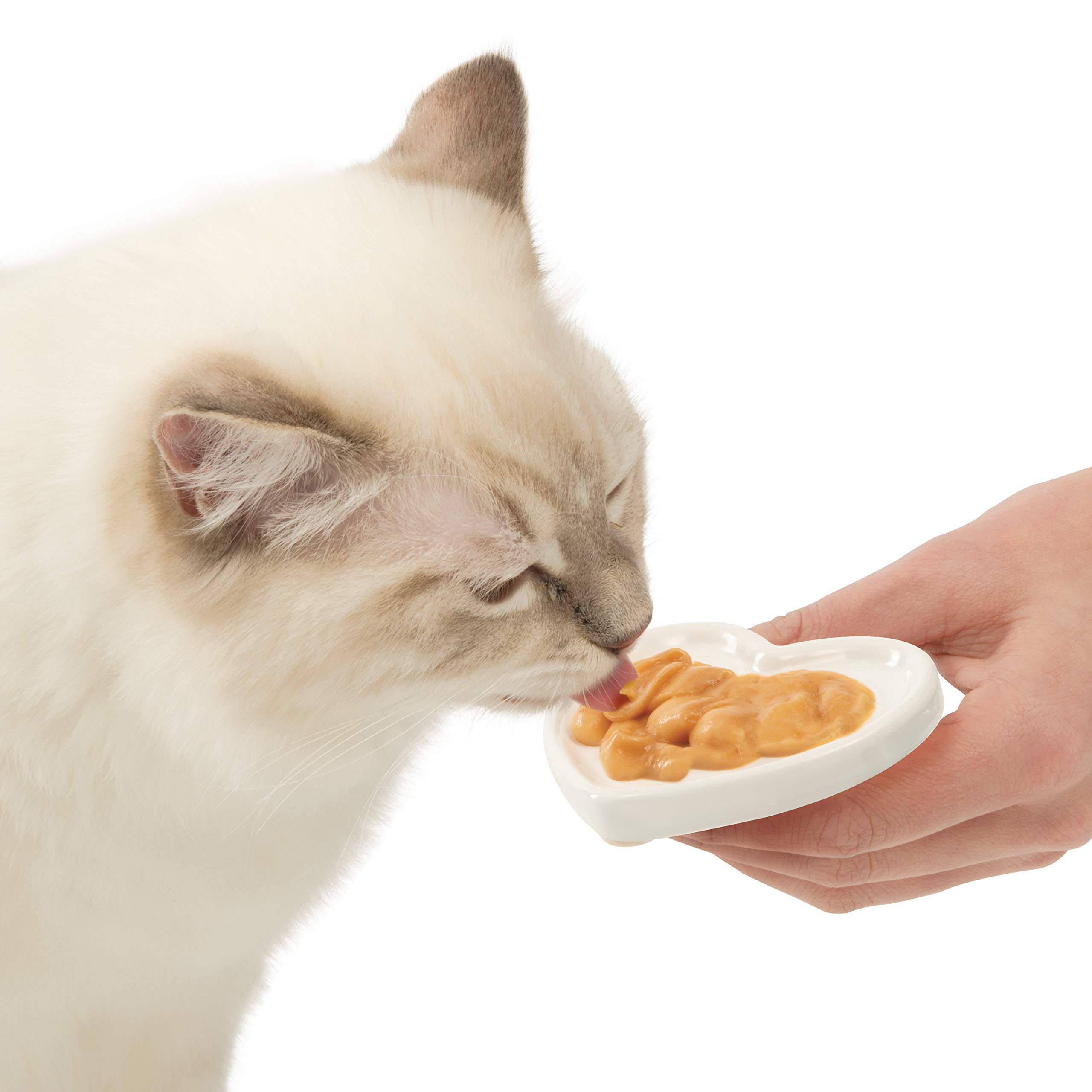 catit-creamy-herz-keramikschale-f-r-katzen-leckerlis image 2