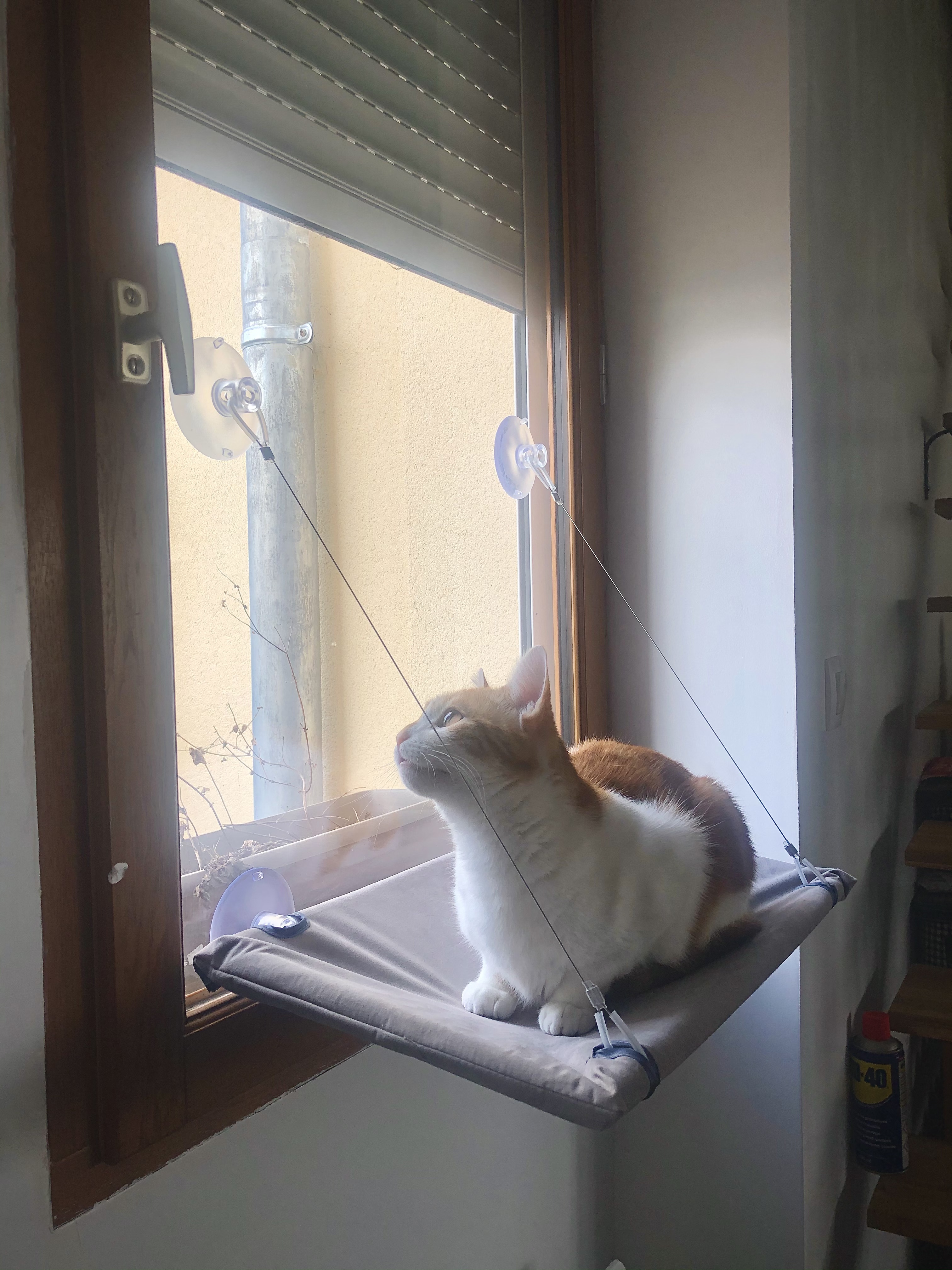 Endlich Sonne ohne Kratzer