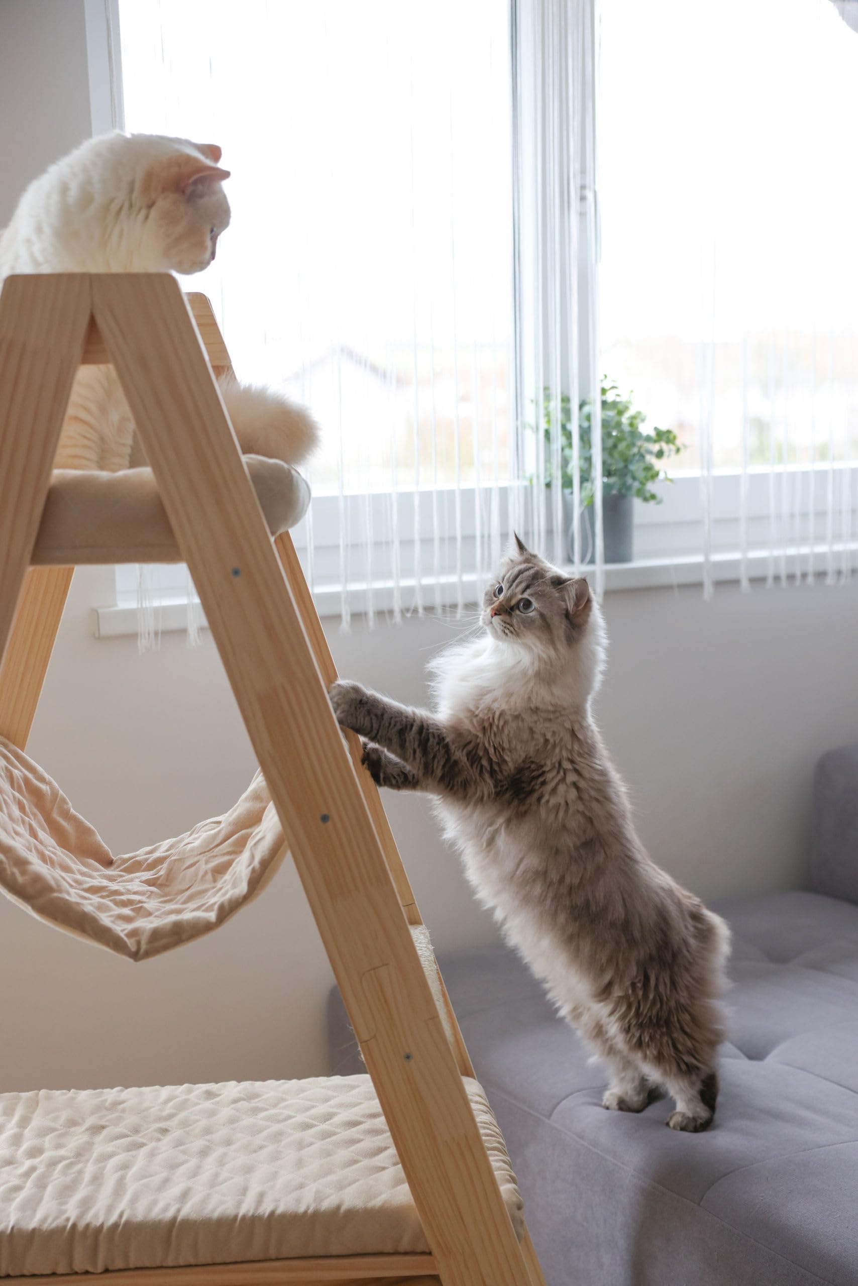 kerbl-pet-kratzbaum-ladder-natur-beige-97-x-35-x-134-cm-holz-mit-velours-und-sis image 6