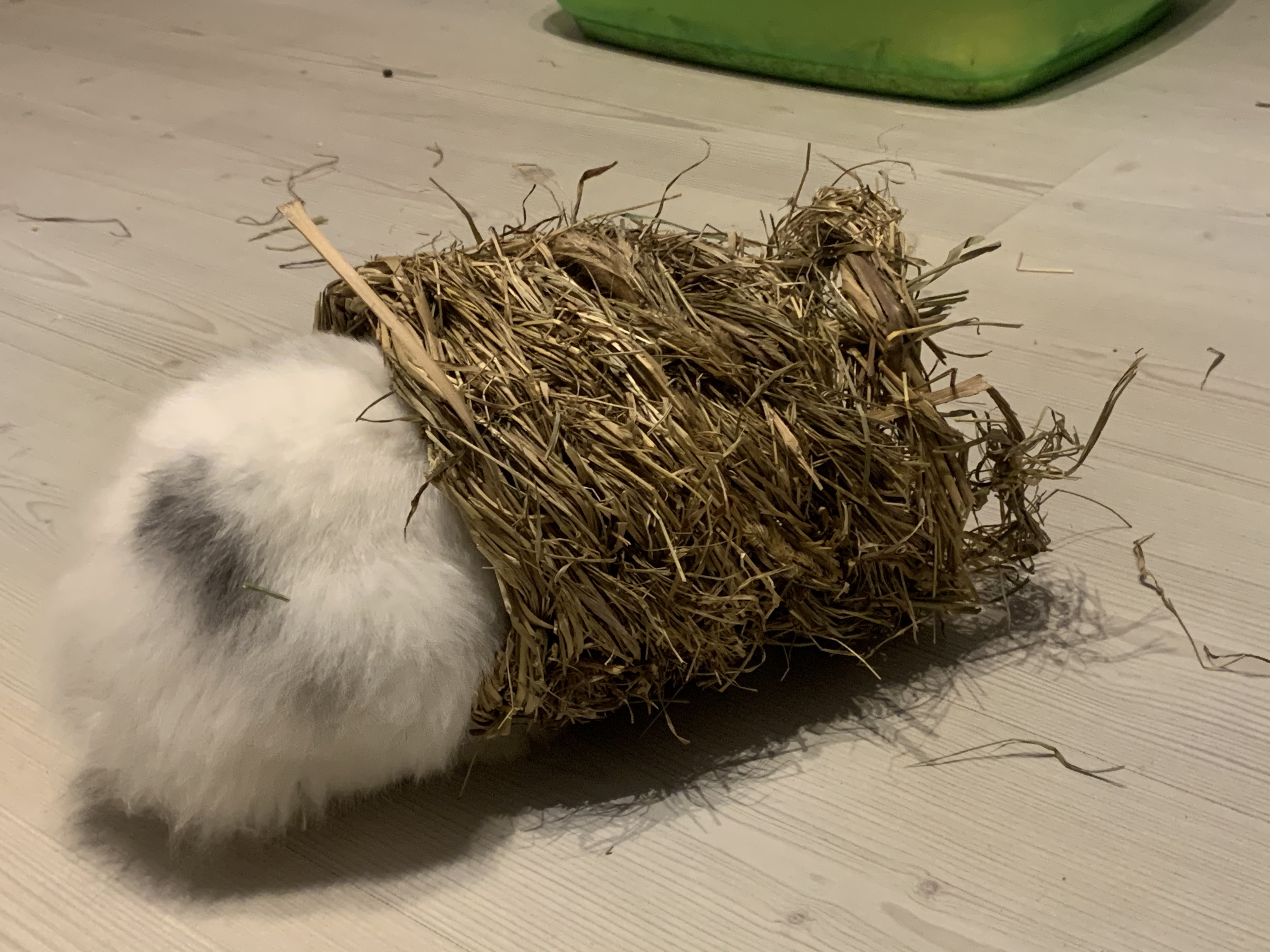 Natürlich und gemütlich