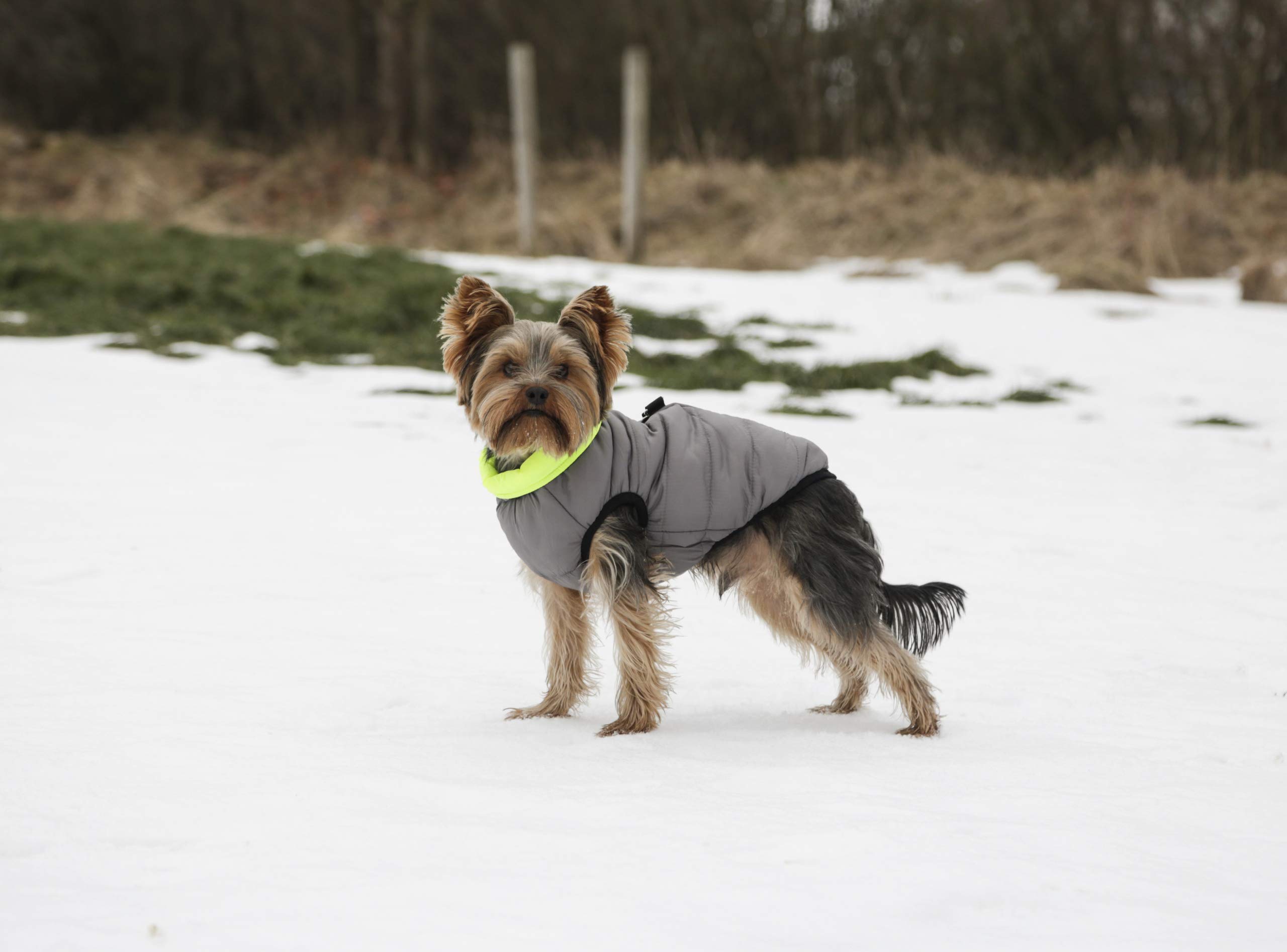 kerbl-pet-steppmantel-charmonix-xs-30-cm-grau-neon-gelb-wendbarer-hundemantel image 2