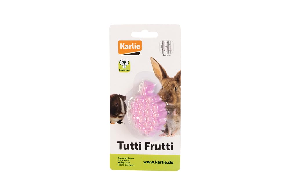 karlie-nagerstein-tutti-frutti-himbeere-30-g-4x4x2-cm image 2