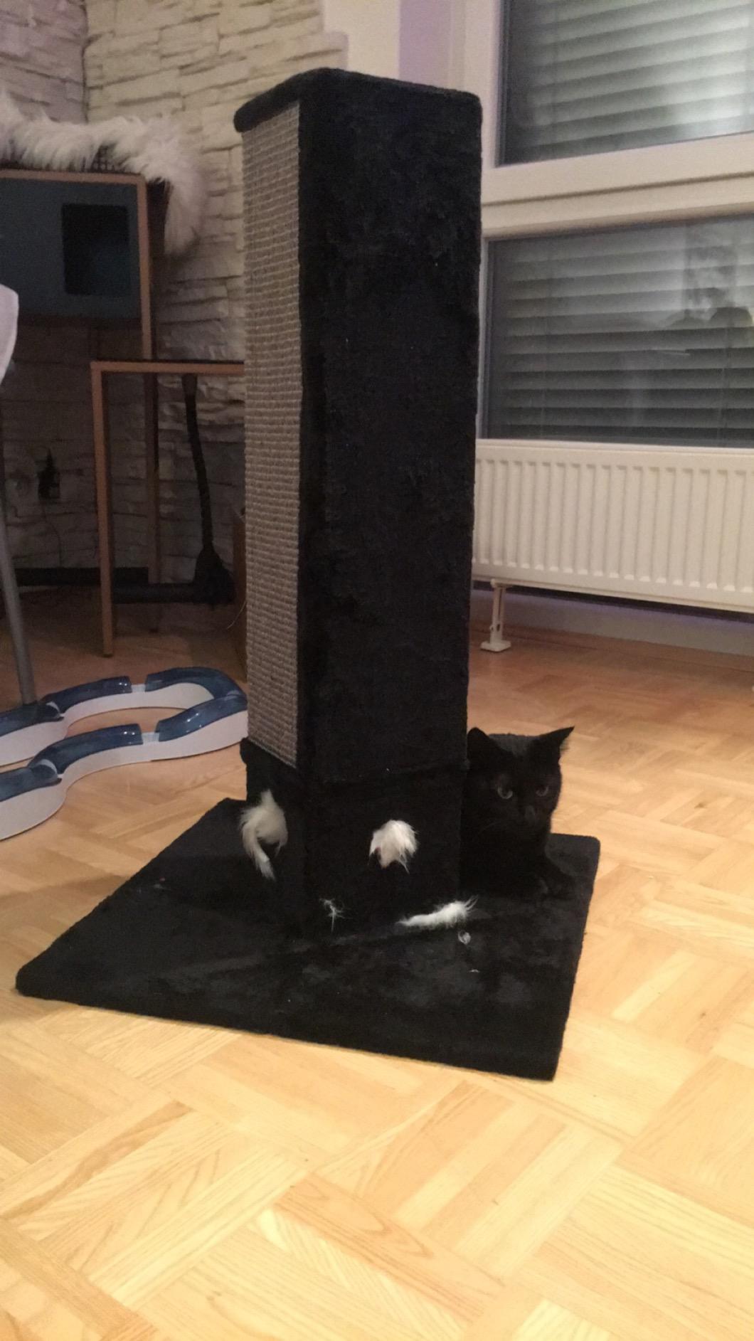 Endlich wird das Sofa in Ruhe gelassen