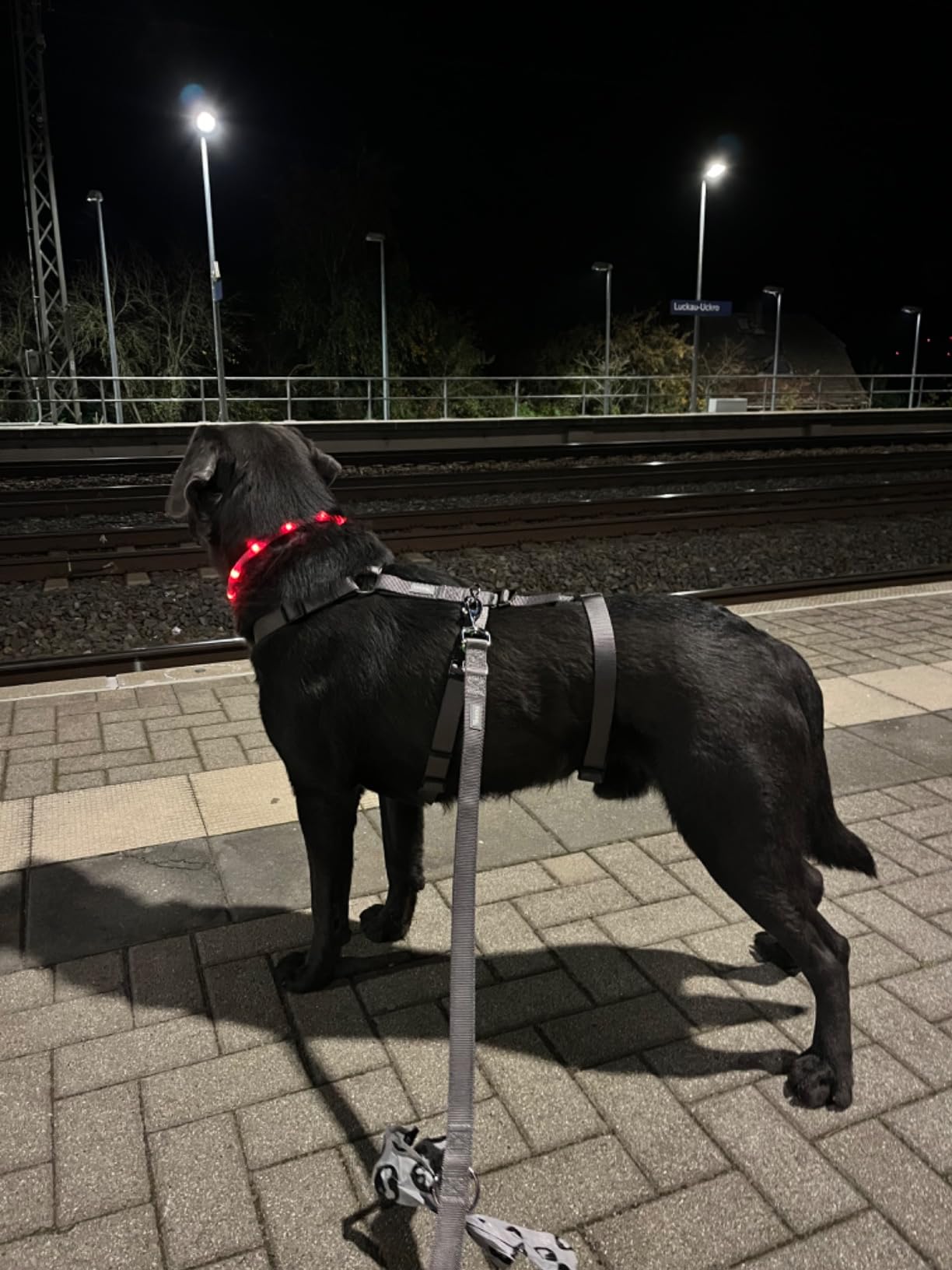 Für Silvester gekauft