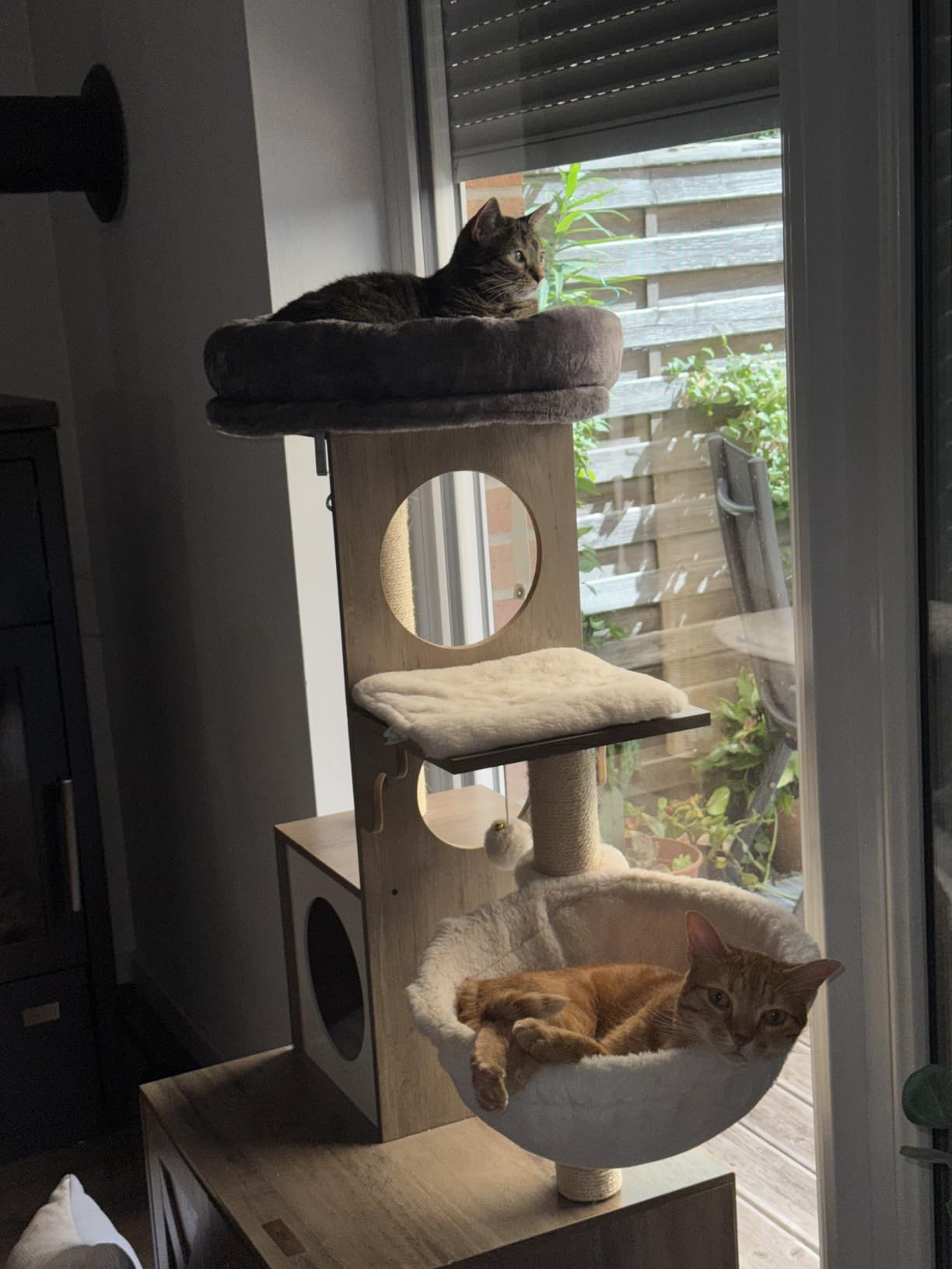 Lieblingsplatz am Fenster