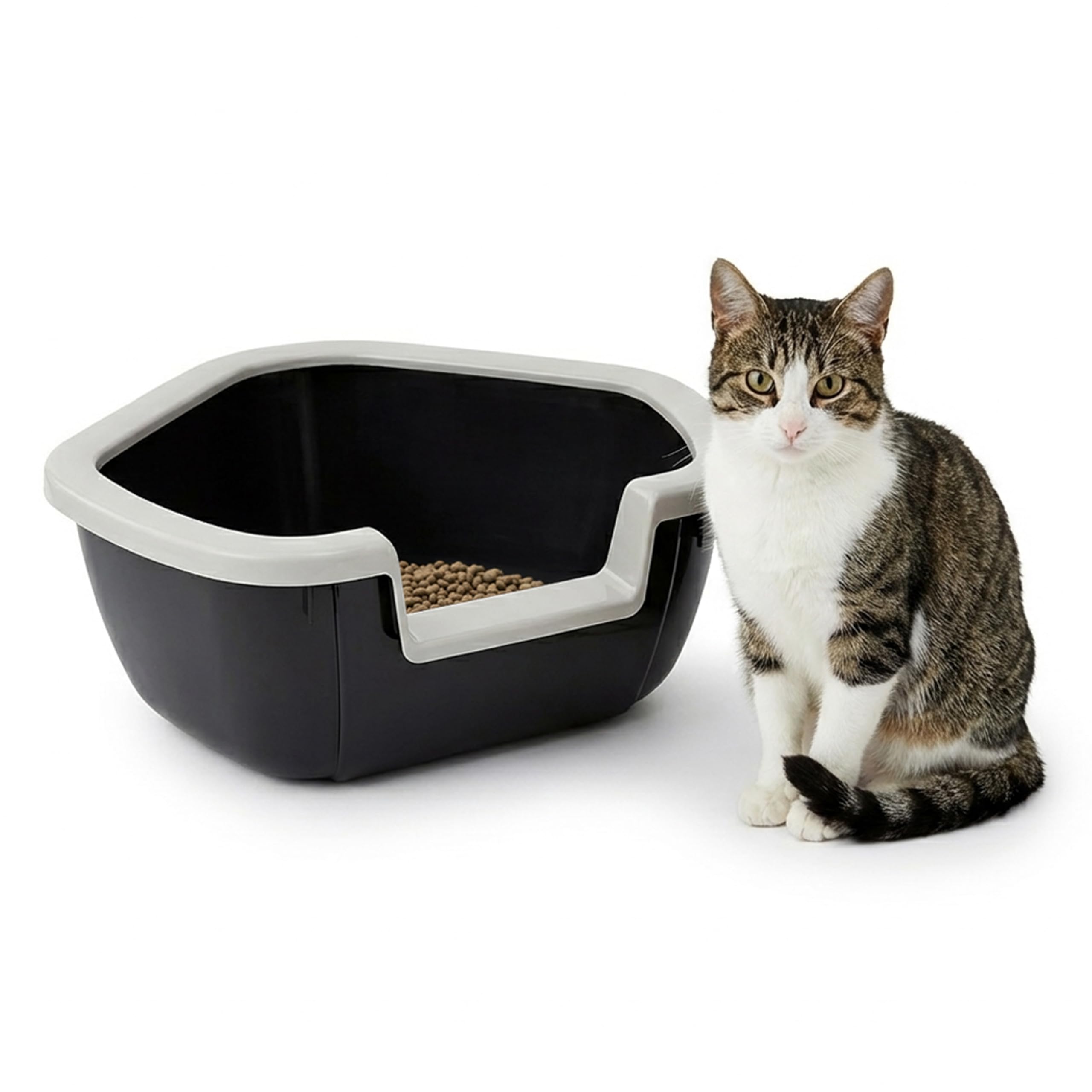 ferplast-dama-eck-katzentoilette-offen-57-5-x-51-5-x-h-22-cm-schwarz image 1