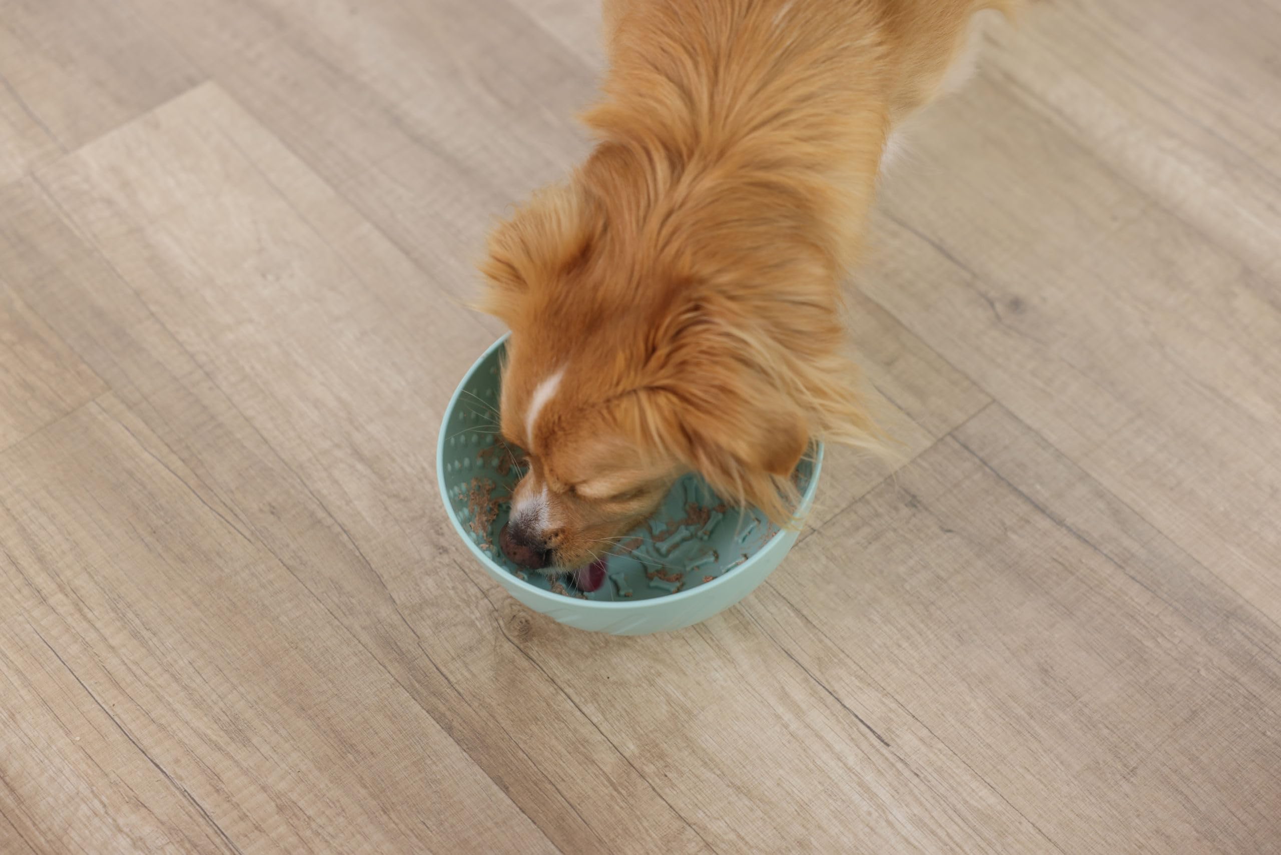 kerbl-pet-schlecknapf-20-5cm-t-rkis-f-r-hund-und-katze image 5