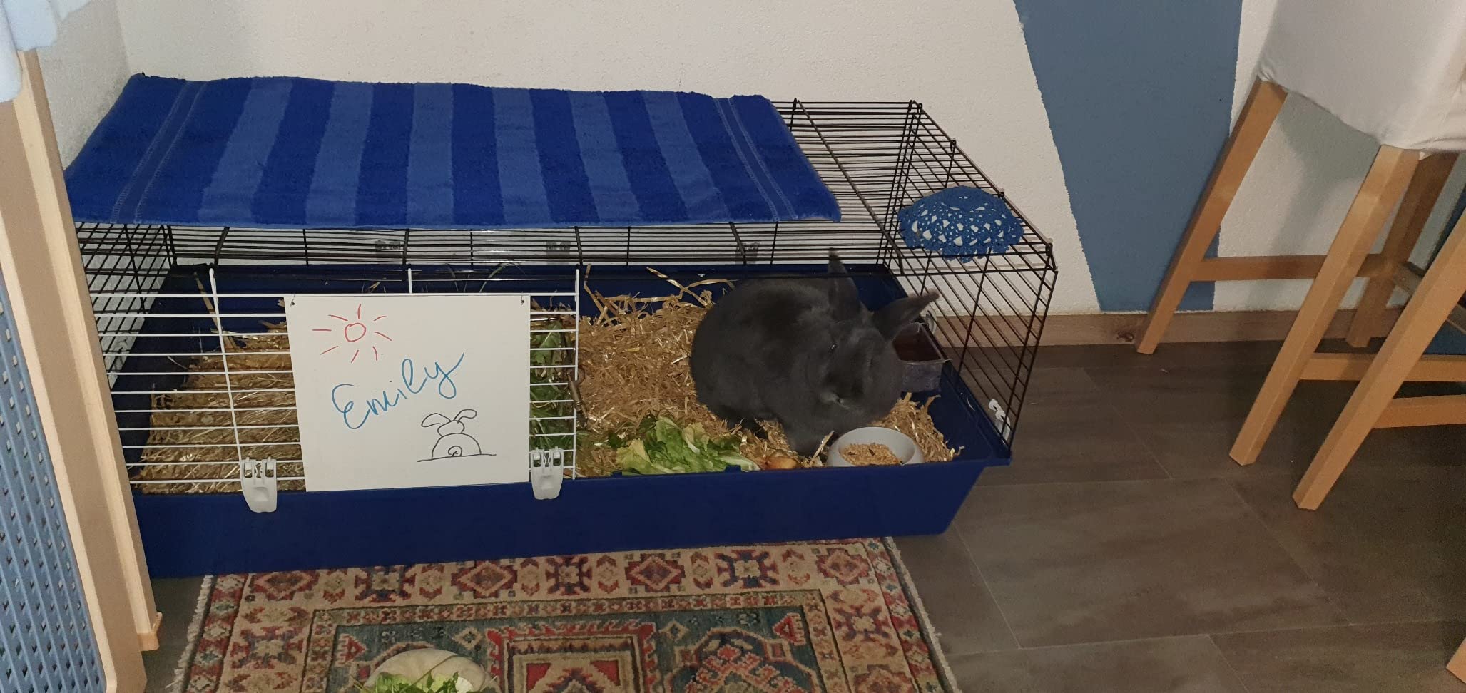 Unsere Kaninchen lieben die Etage