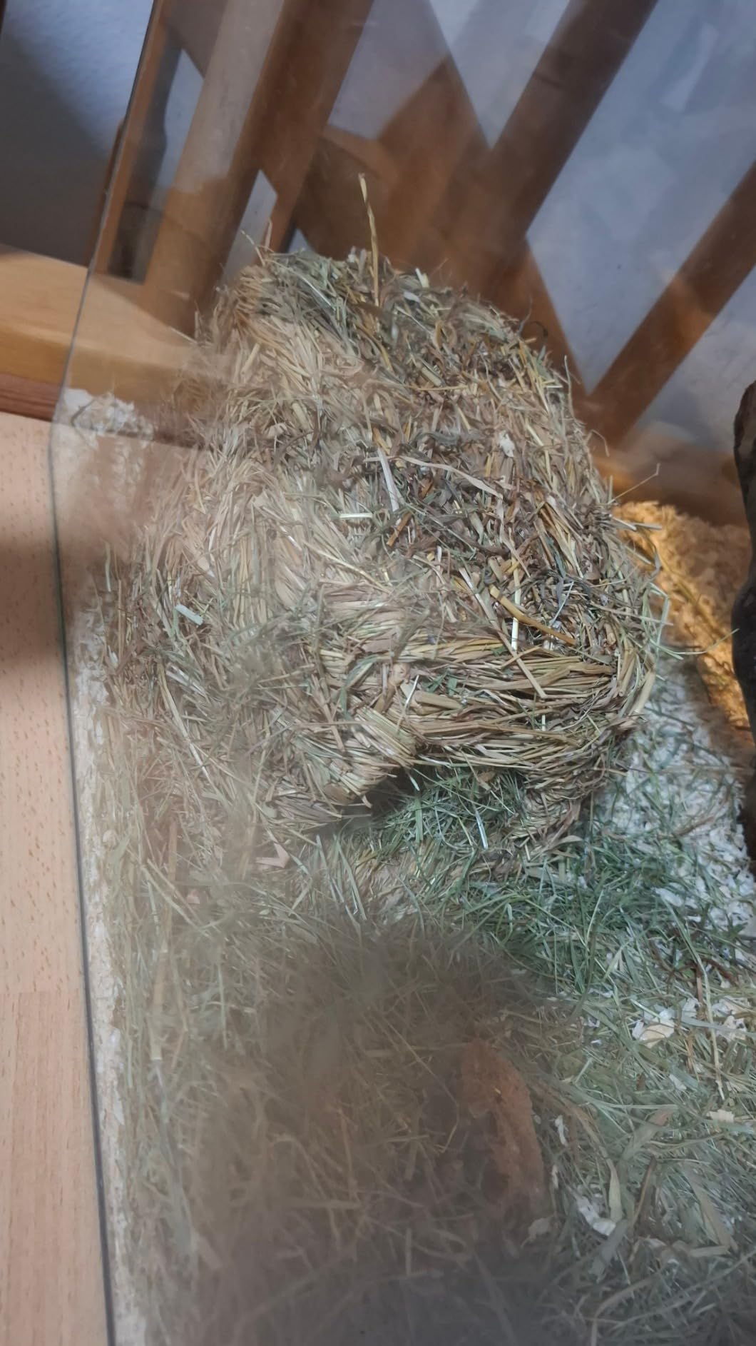 Knusperhaus wird geliebt