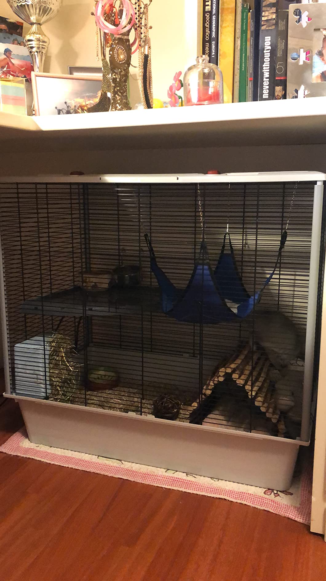 Tolles Zuhause für unsere Ratten
