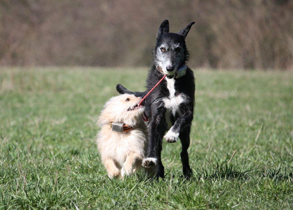 Top fürs Training