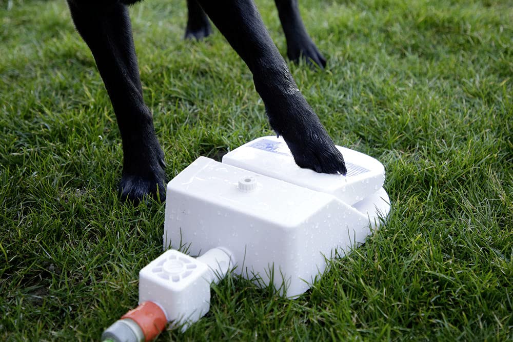 kerbl-pet-wasserspringbrunnen-bubble-25-5x18x8-cm-trinkbrunnen-f-r-hunde image 2