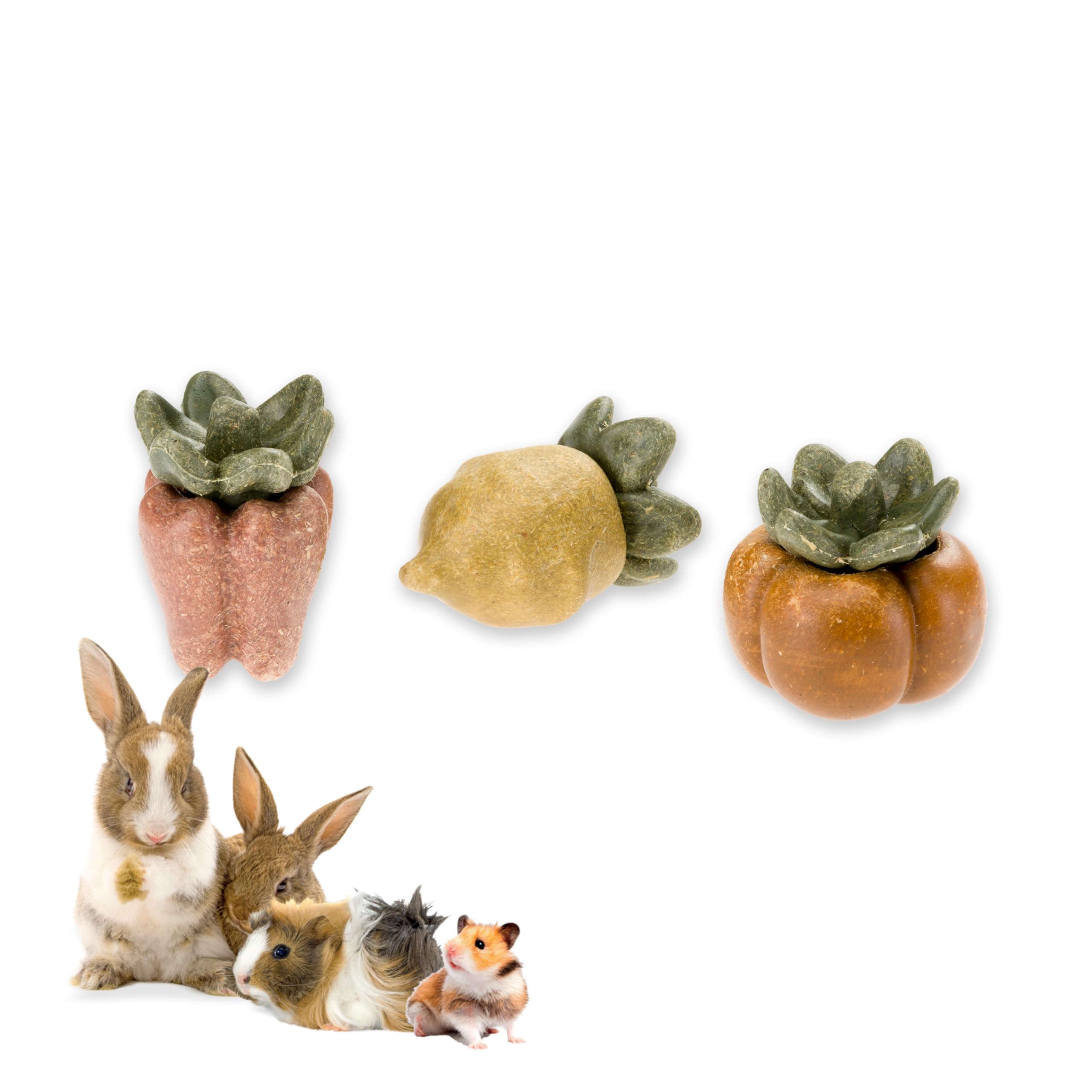 ferplast-nat-rlicher-nager-snack-beerenform-f-r-hamster-meerschweinchen-und-kani image 1