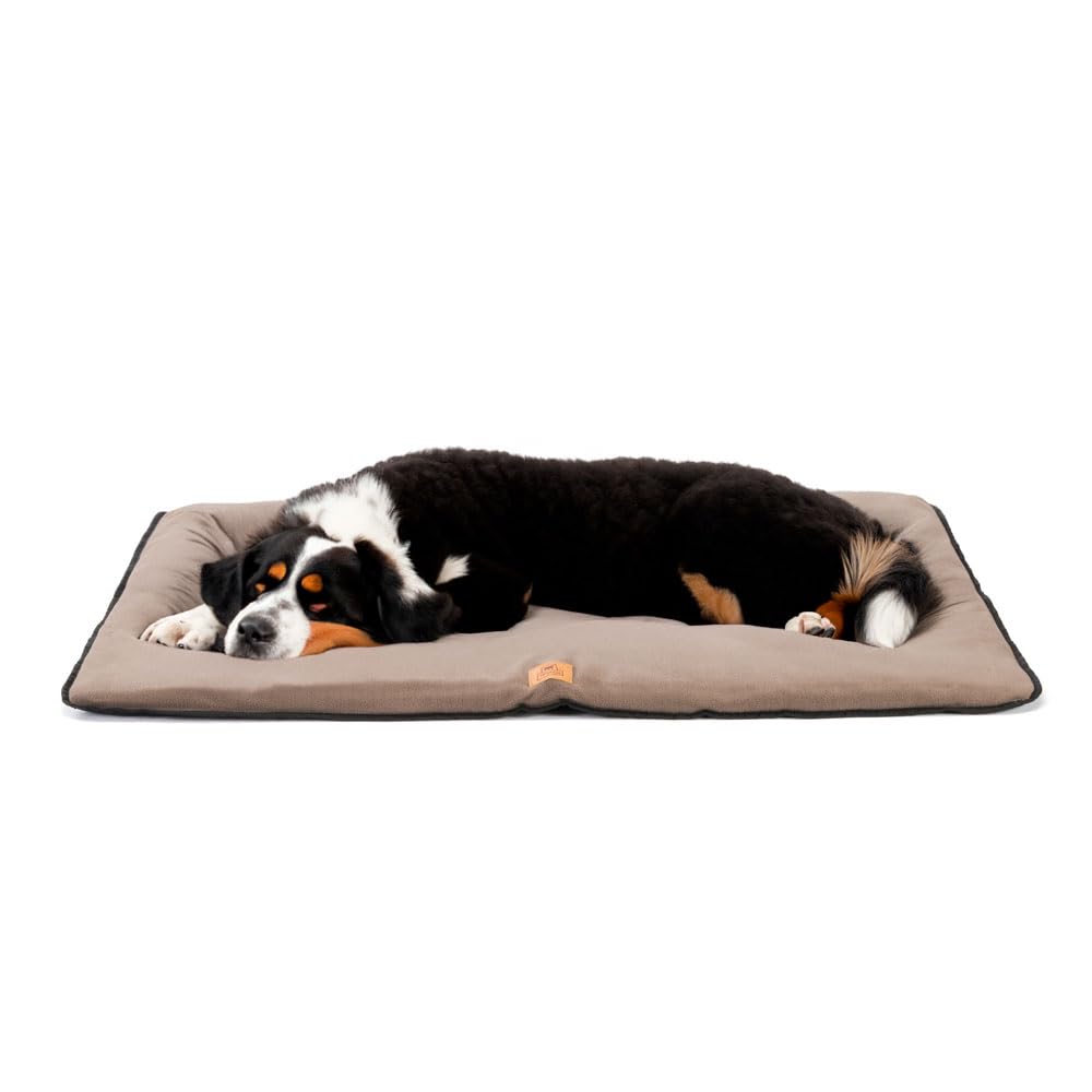 ferplast-jolly-microfleece-hundematte-57-x-38-x-3-5-cm-schwarz image 6