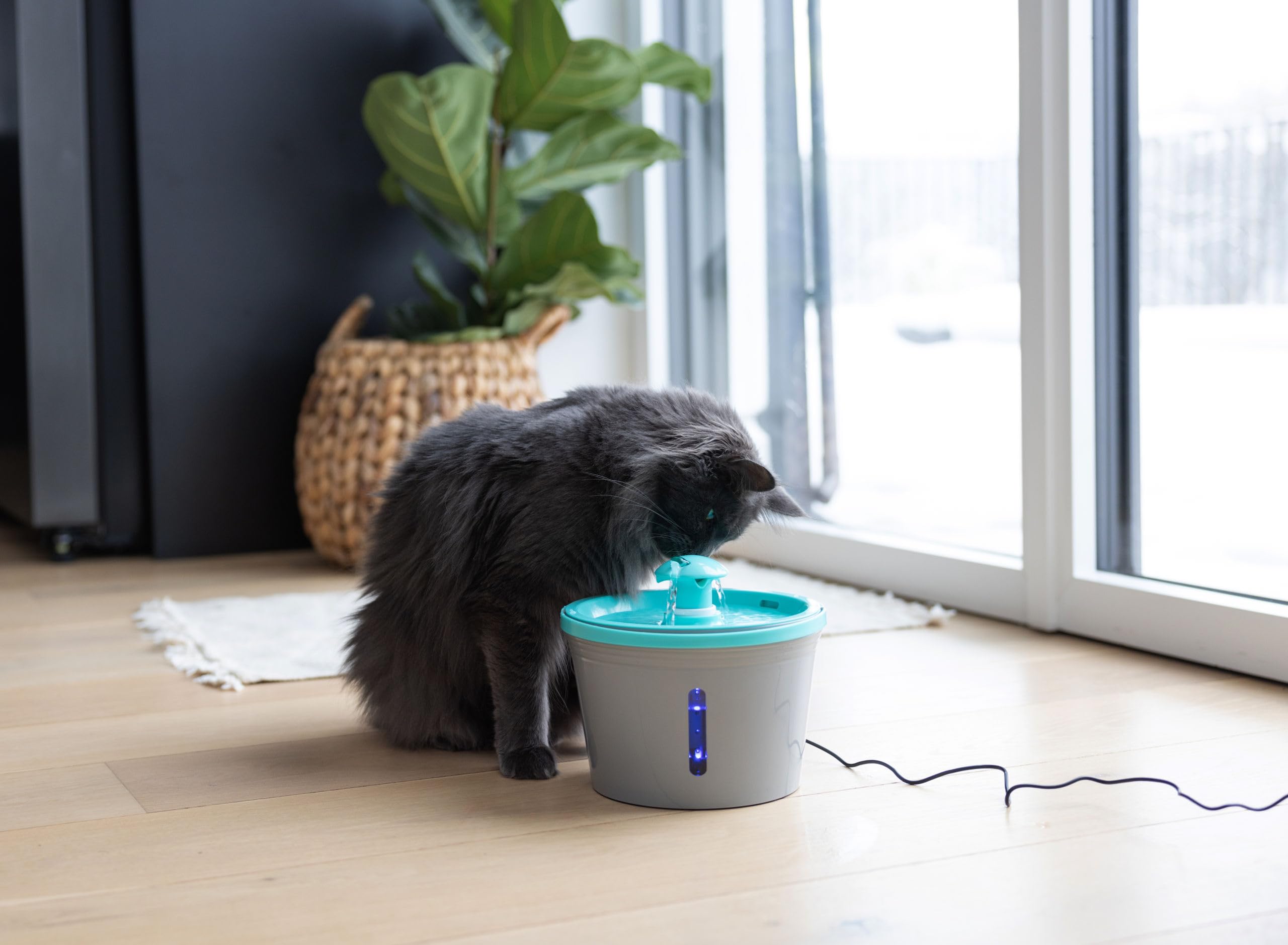 kerbl-pet-trinkbrunnen-1-6-l-grau-blau image 3