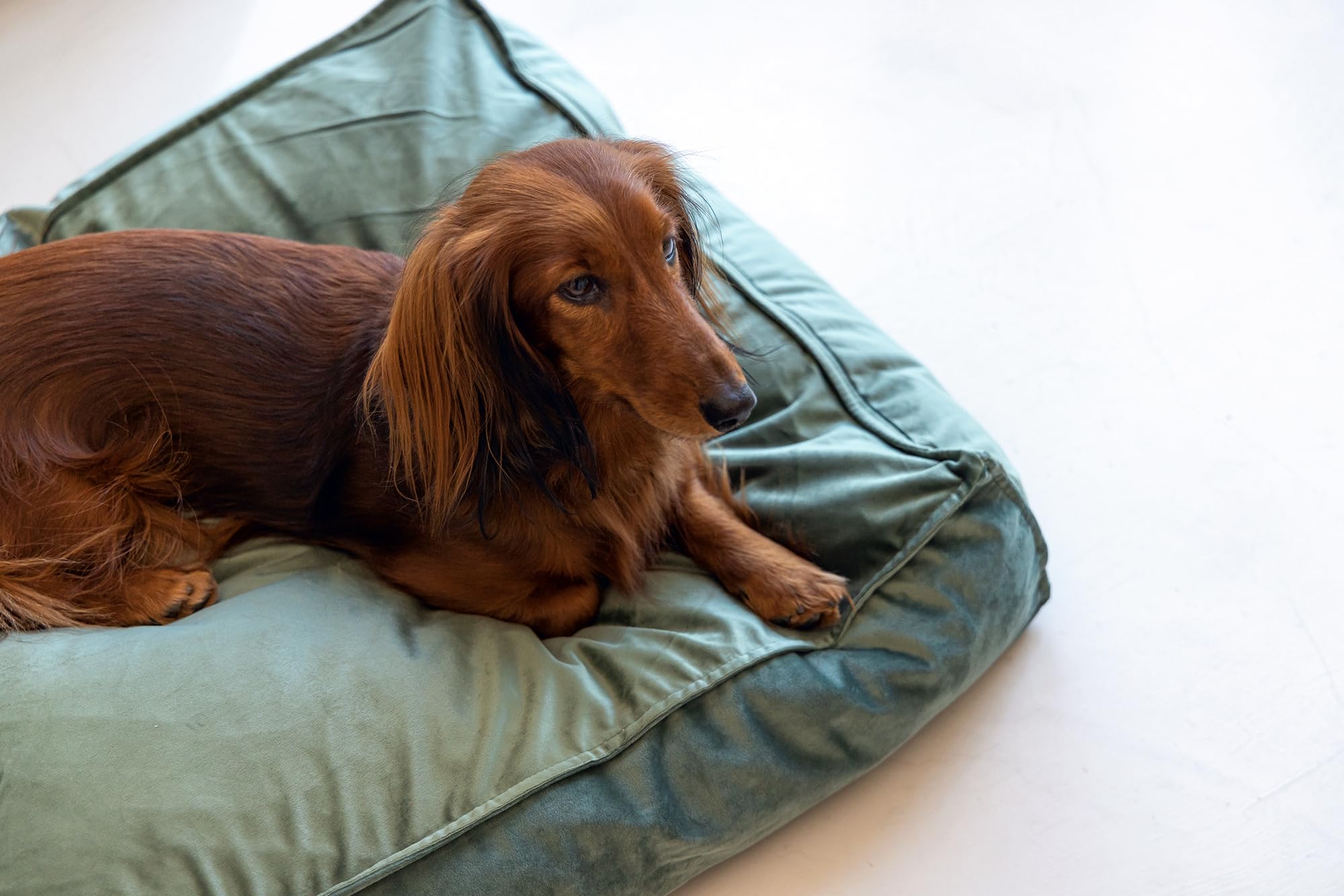 designed-by-lotte-nalino-hundekissen-samt-gr-n-70x55x15-cm image 7