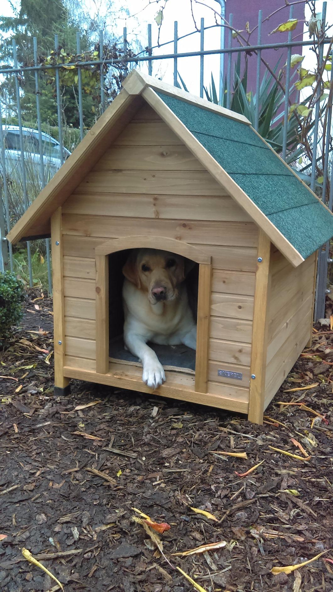 Enkelhund eingezogen