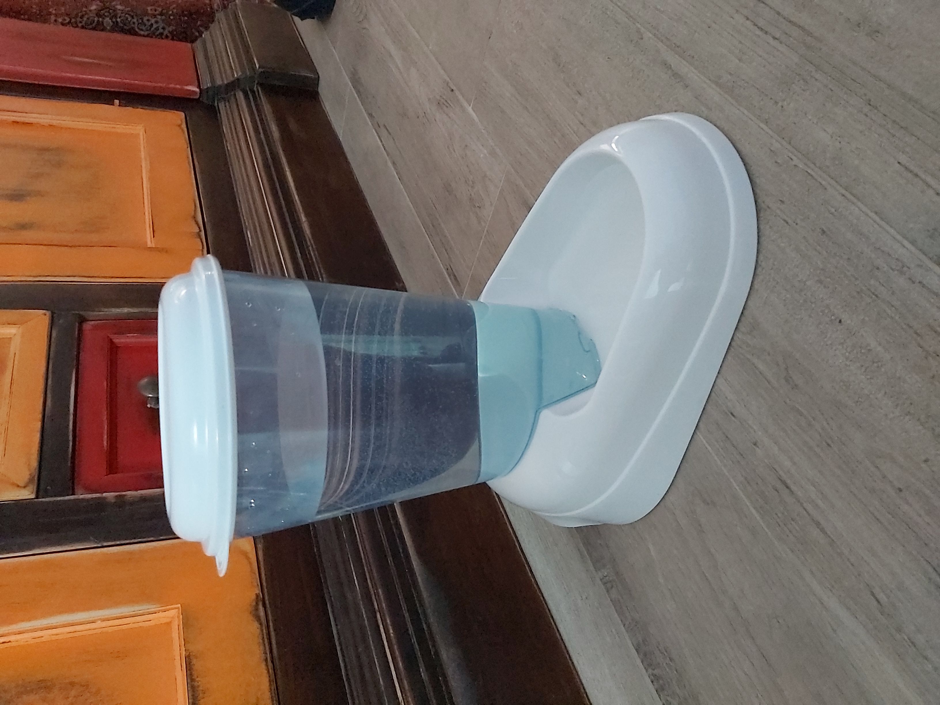 Super Wasserspender für Katzen