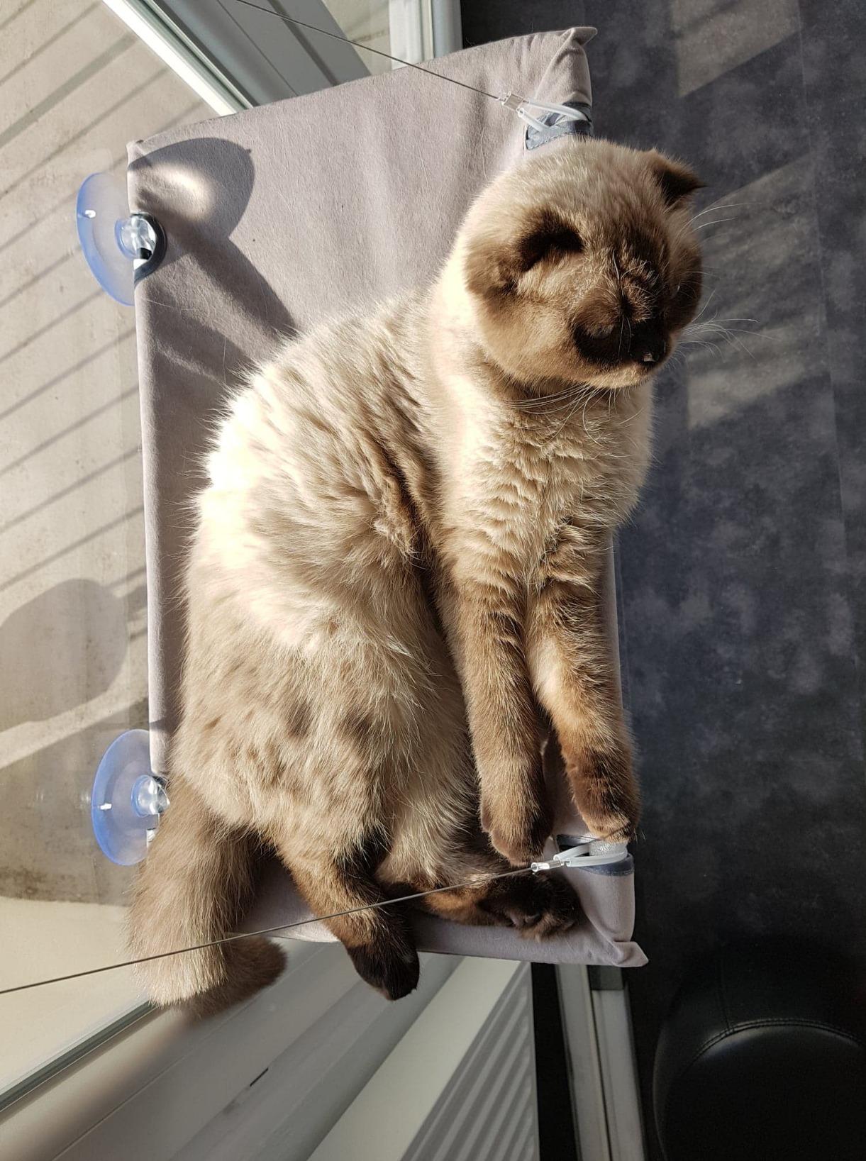 Nichts für ängstliche Tiere