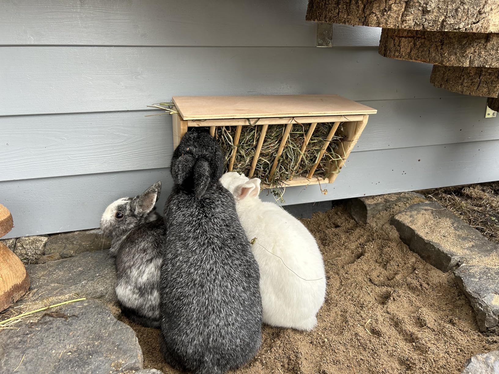 Schöne Raufe für Kaninchen