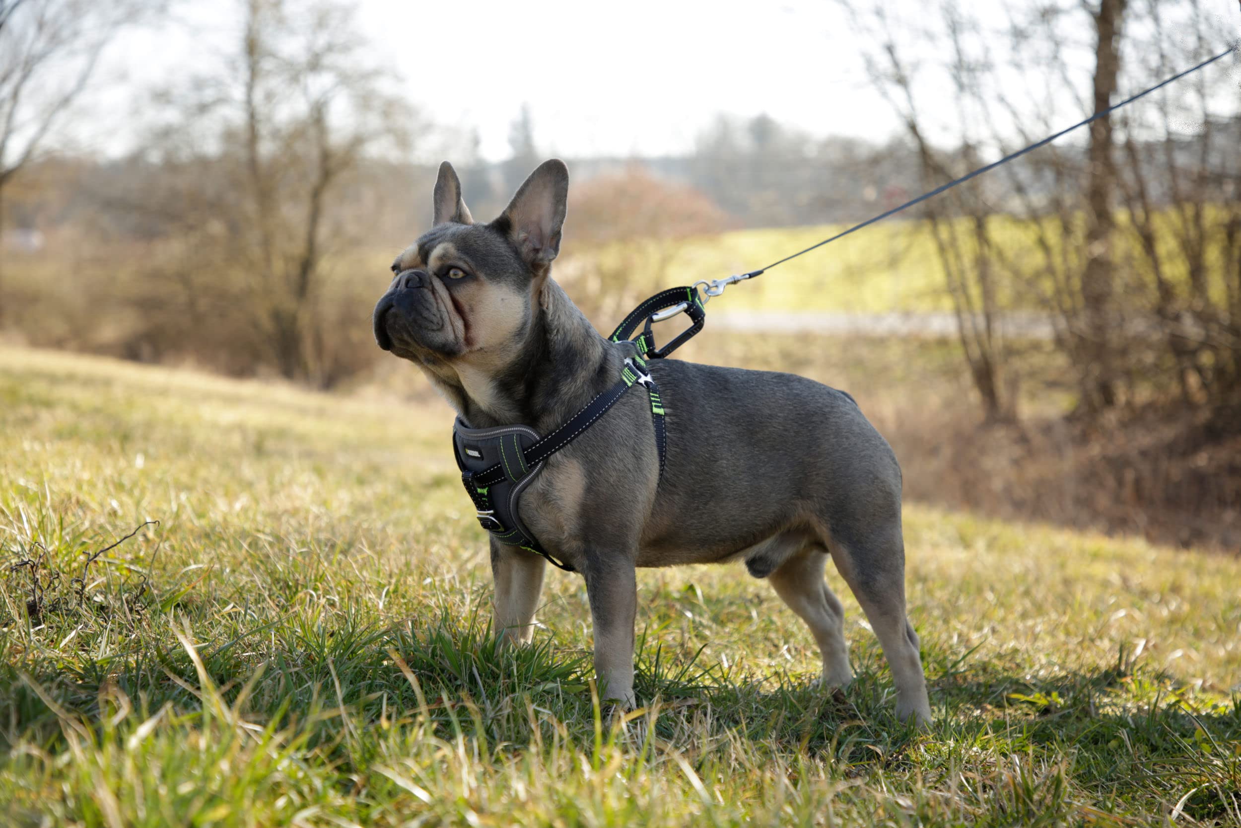kerbl-pet-autosicherheitsgeschirr-schwarz-l-65-85-cm-25-mm image 6