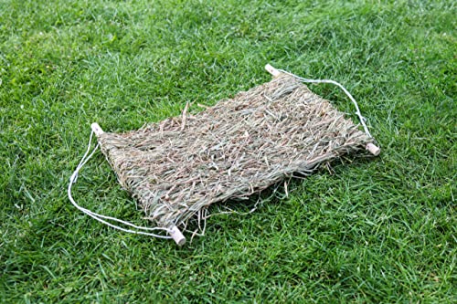 kerbl-pet-ersatz-grasmatte-46-x-36-x-3-5-cm-f-r-h-ngematte-siesta-82796 image 4