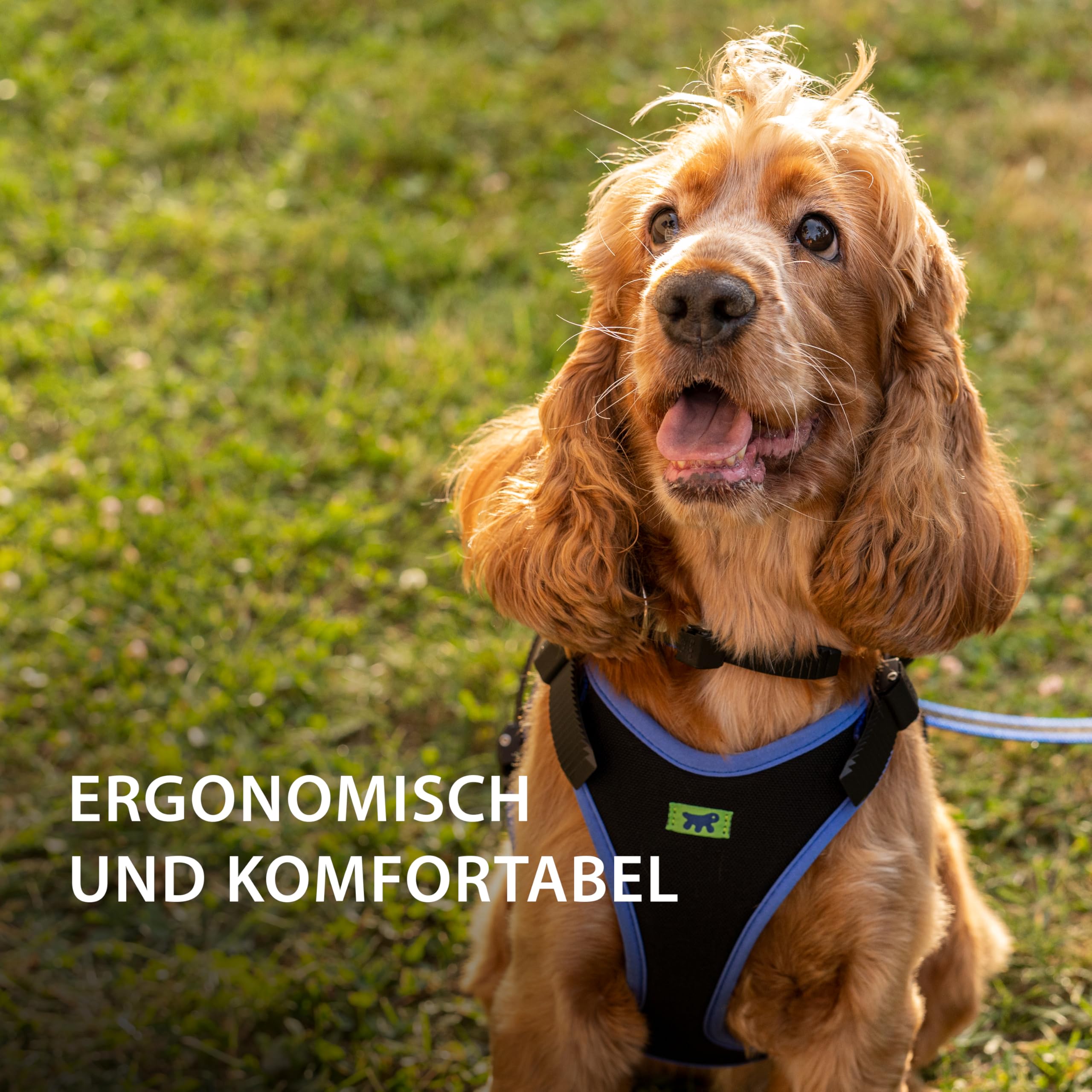 ferplast-hundegeschirr-ergocomfort-xs-blau-verstellbar-f-r-kleine-hunde-bis-15-k image 3