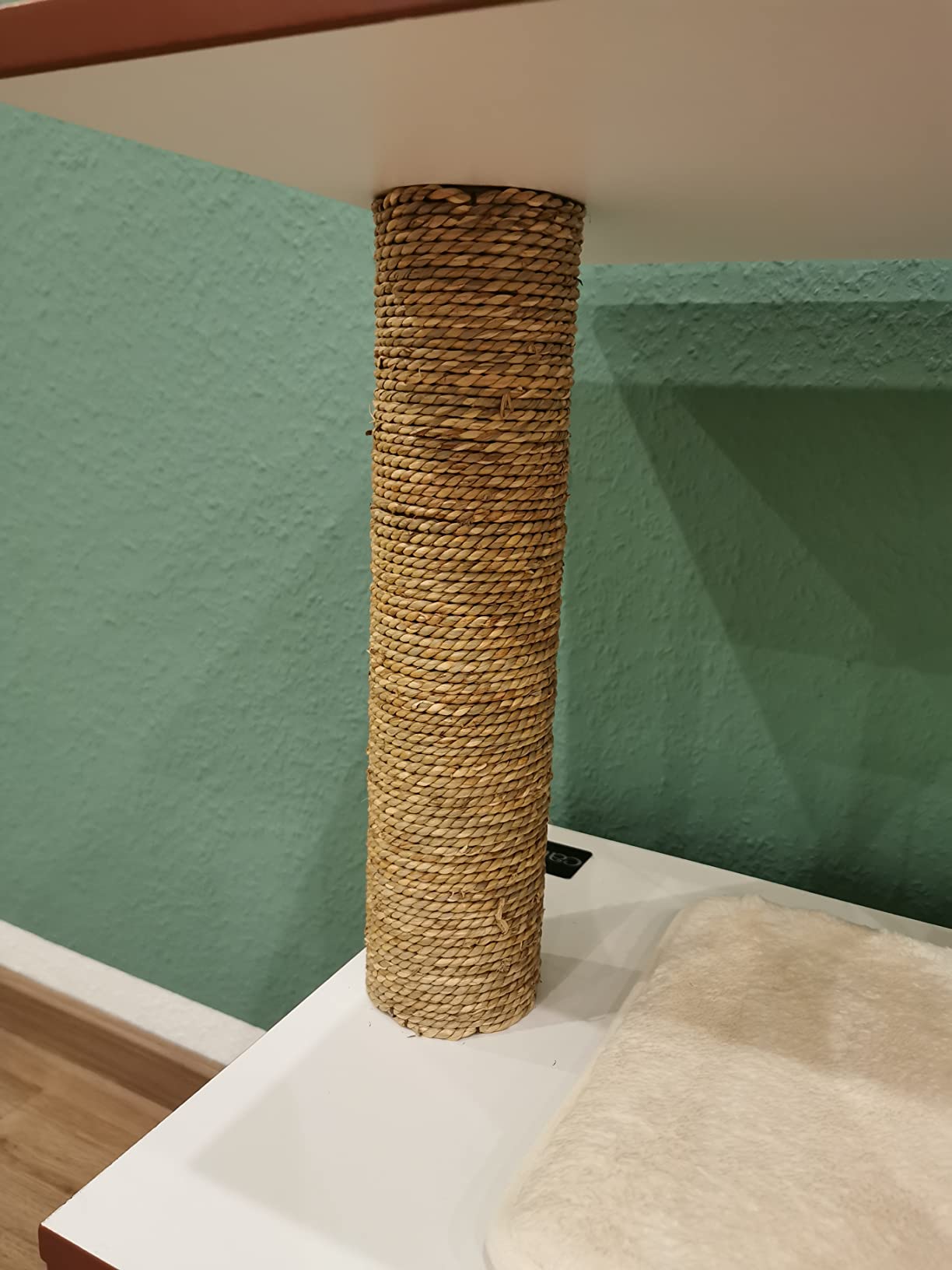 Kratzen, schlafen, gucken – alles drin