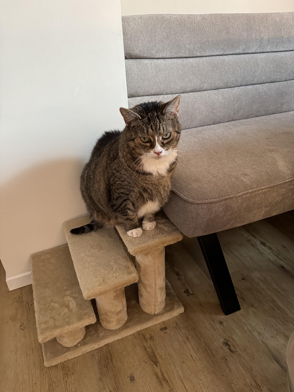 Sofa gerettet, Rücken auch