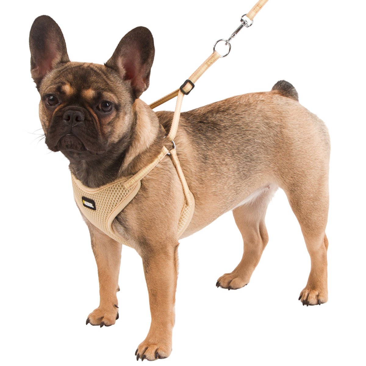 kerbl-pet-welpengeschirr-mit-leine-schwarz-24-44-cm-10-mm image 6